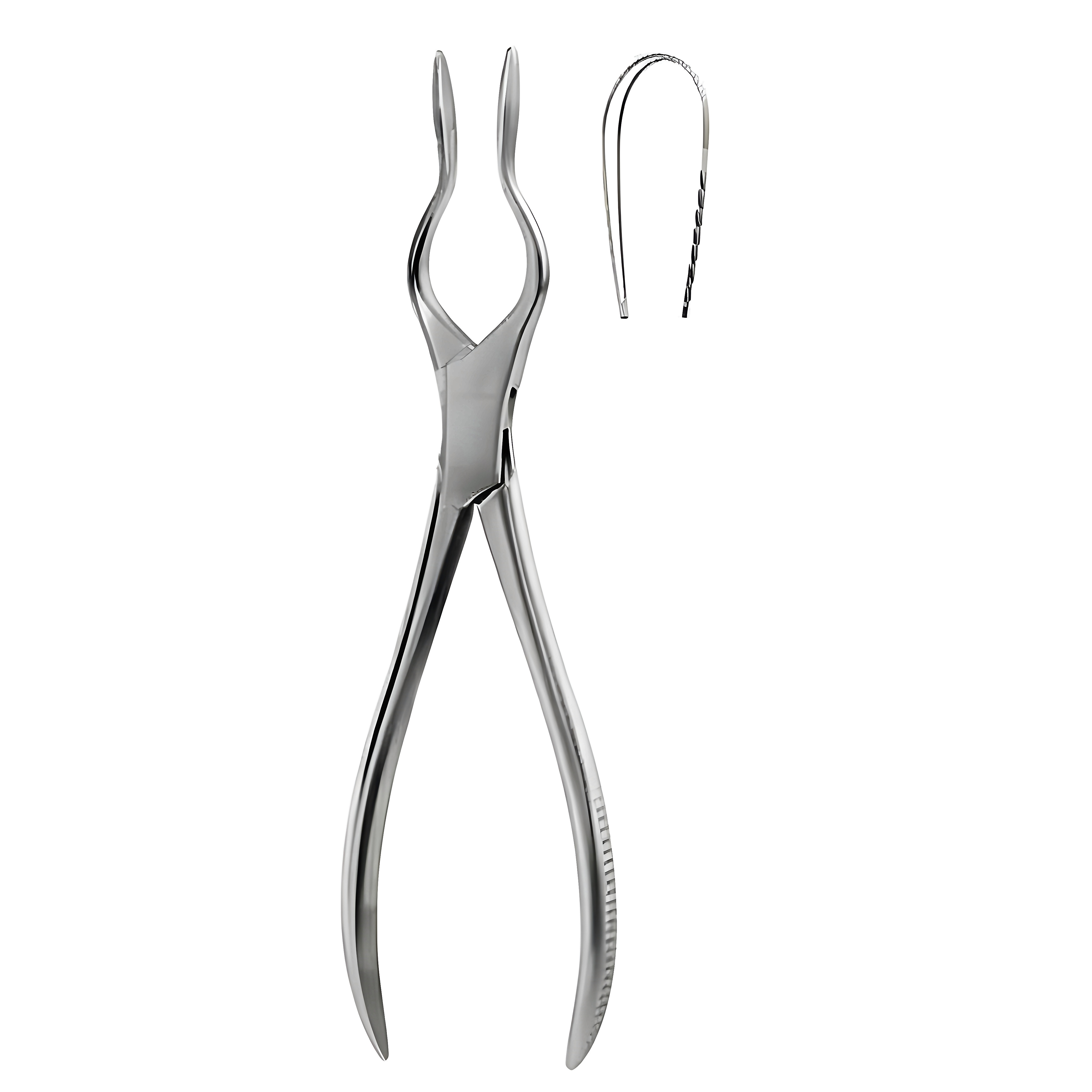 Cottle Walsham Septum Fcps left 23cm