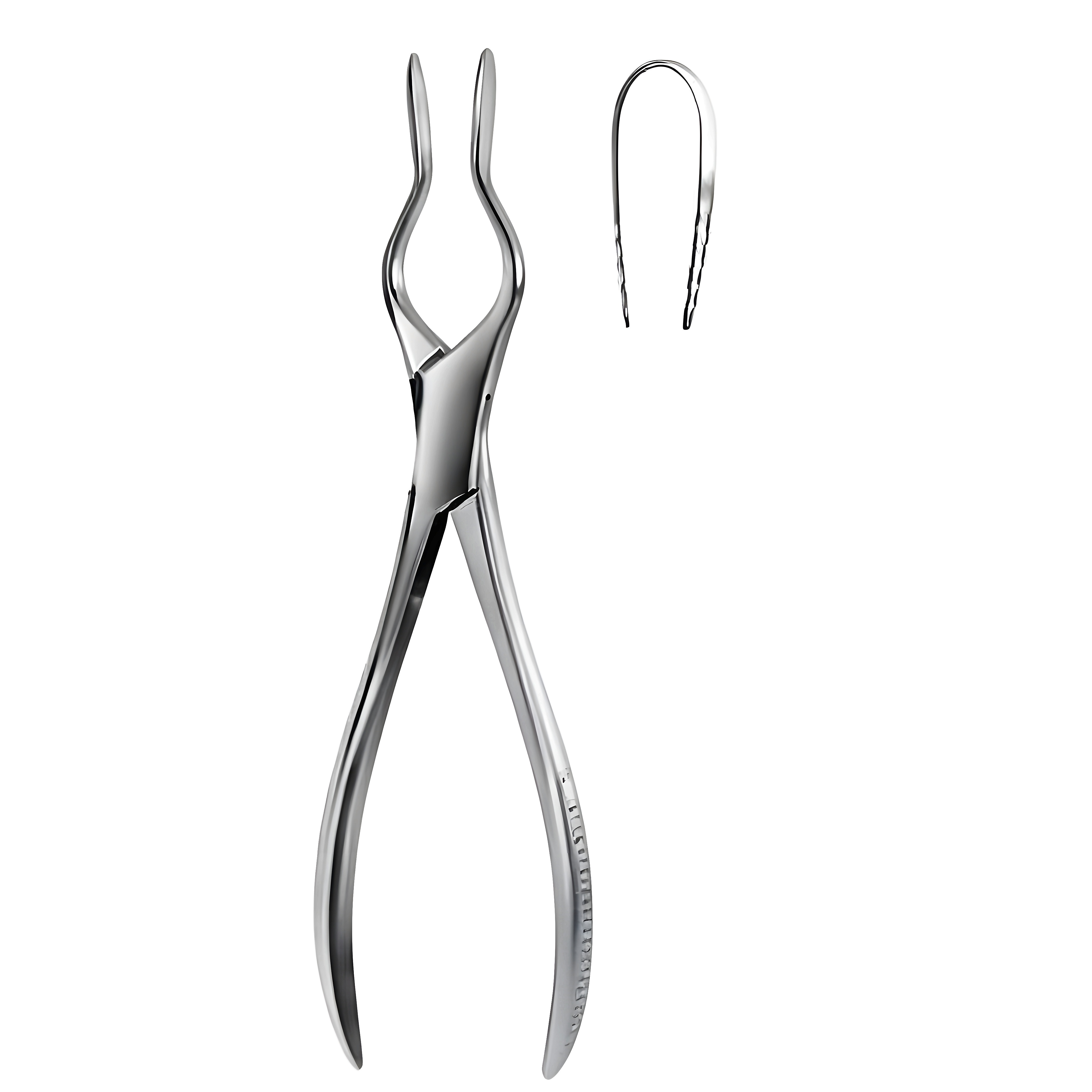 Cottle Walsham Septum Fcps right 23cm