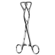 Guy Tongue holding Fcps 19cm