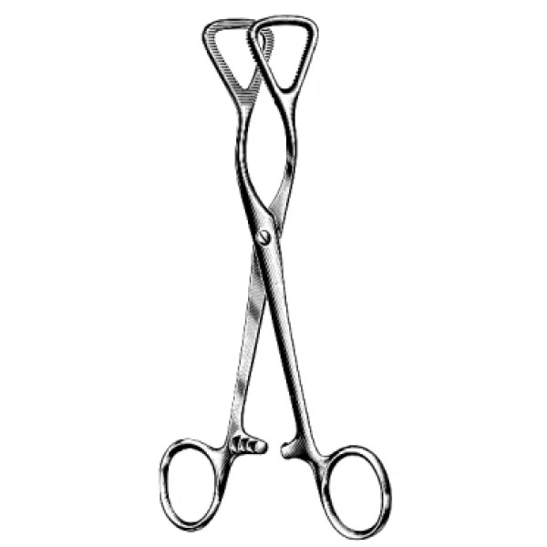 Guy Tongue holding Fcps 19cm