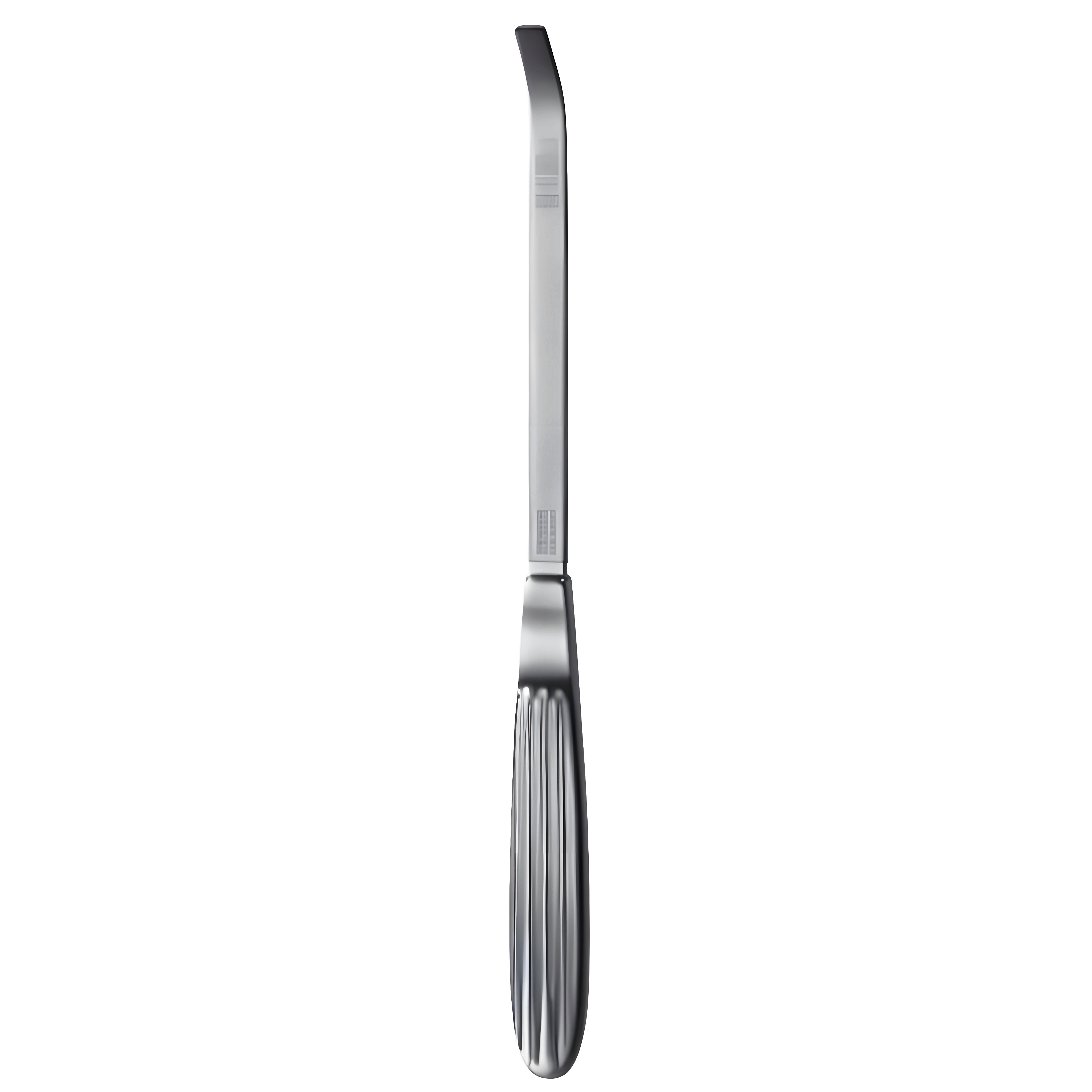 Bone Rasp angled 6mm, 21cm