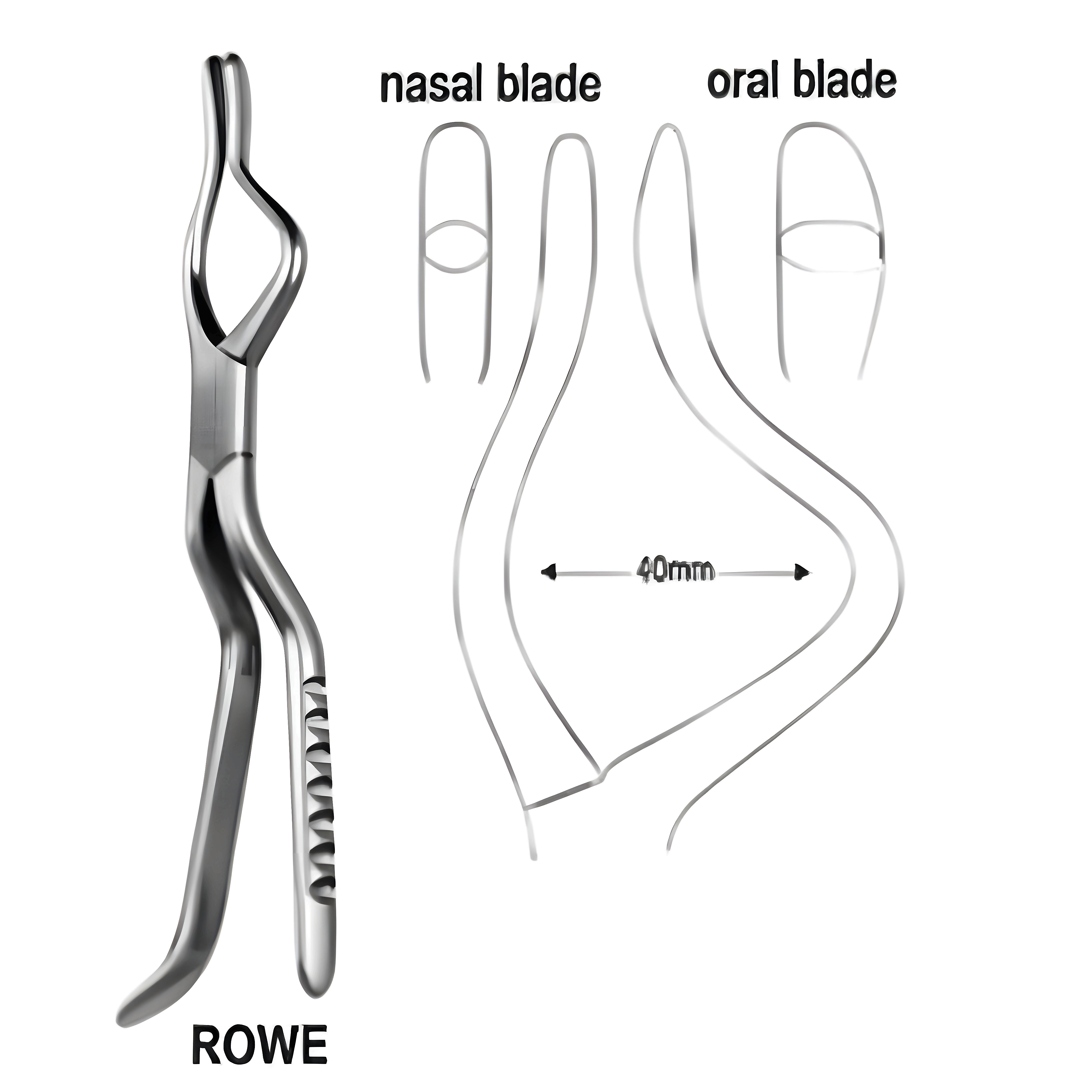 Rowe Disimpation Fcps left 24cm