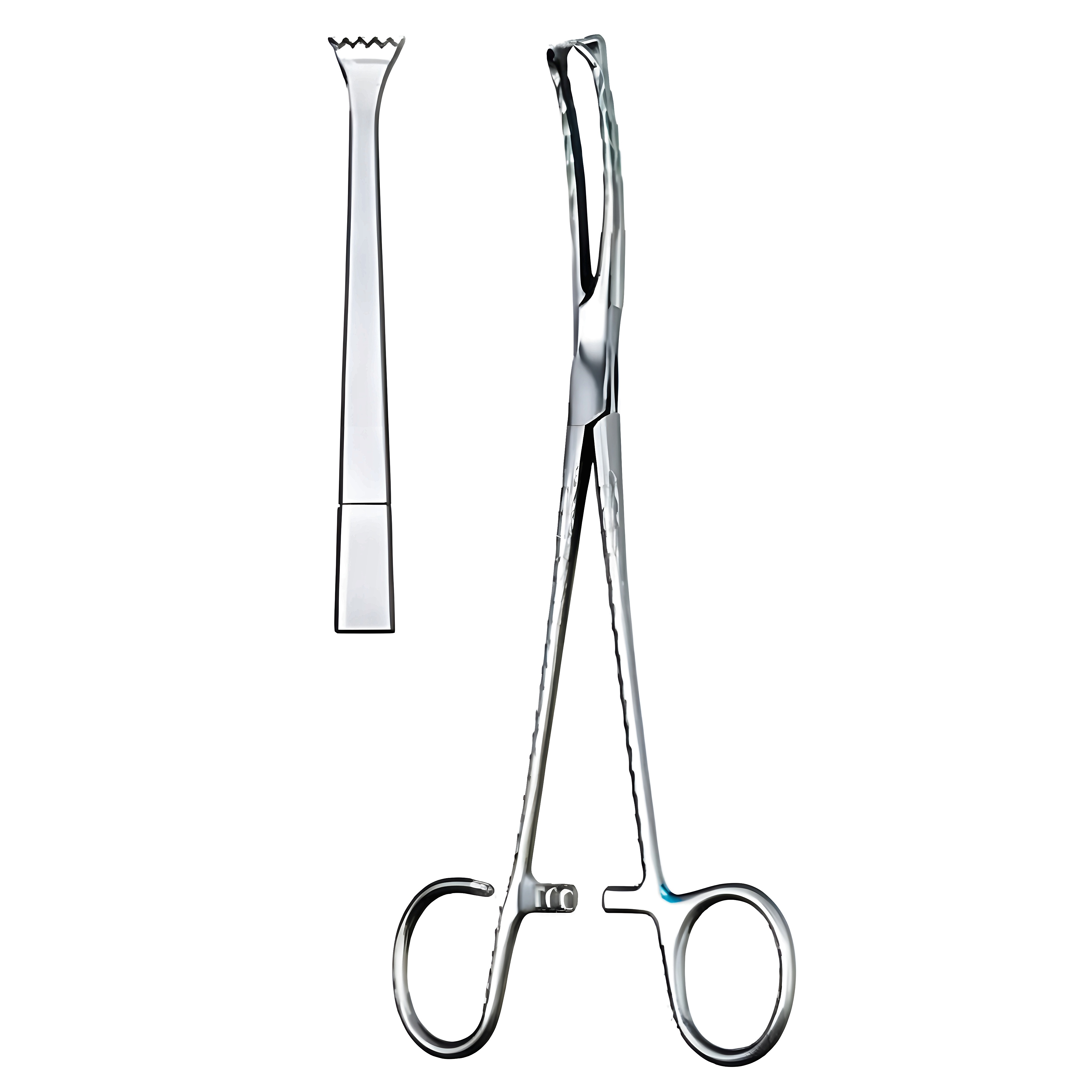 Colver Tonsil Seizing Fcps 19cm