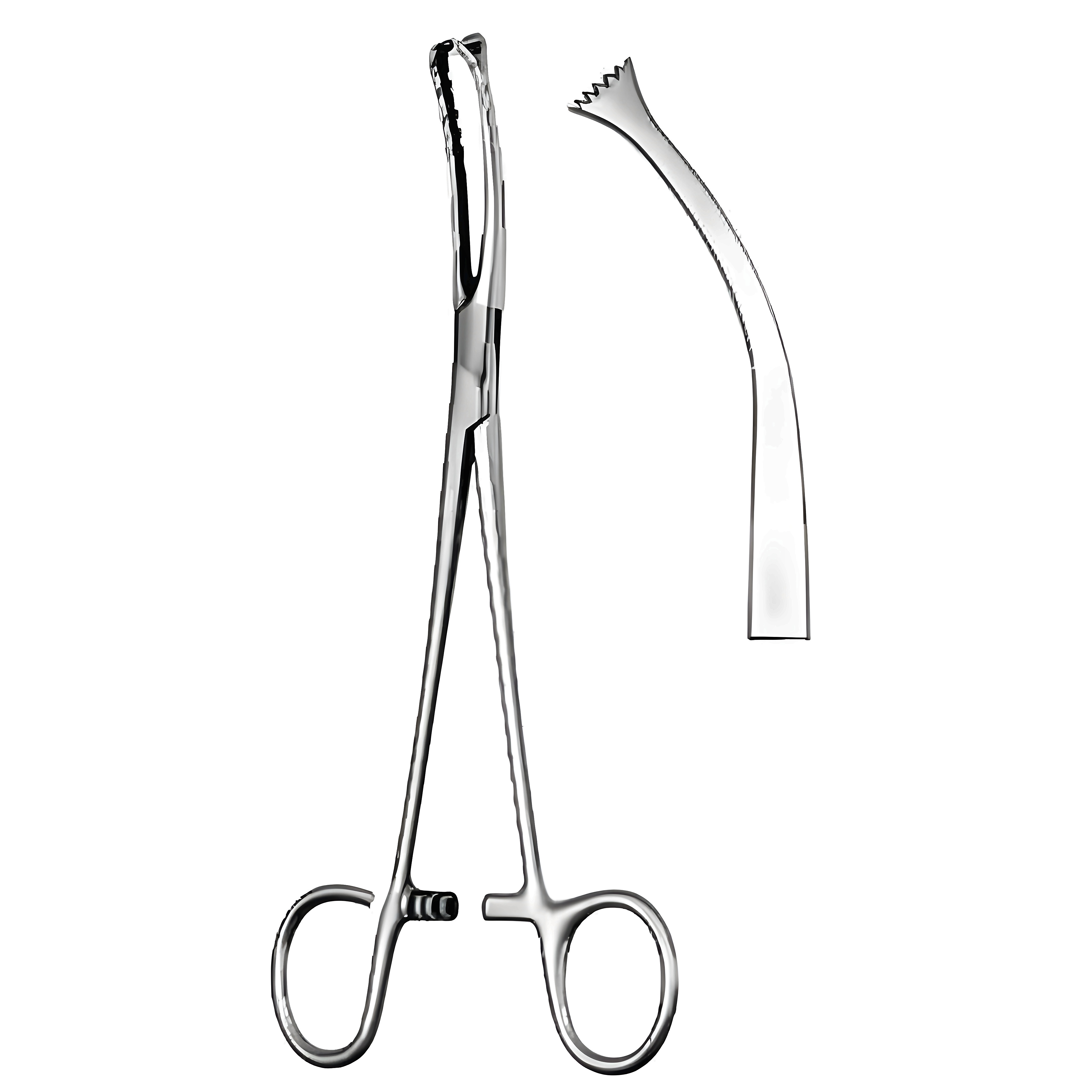 Colver Tonsil Seizing Fcps 19cm