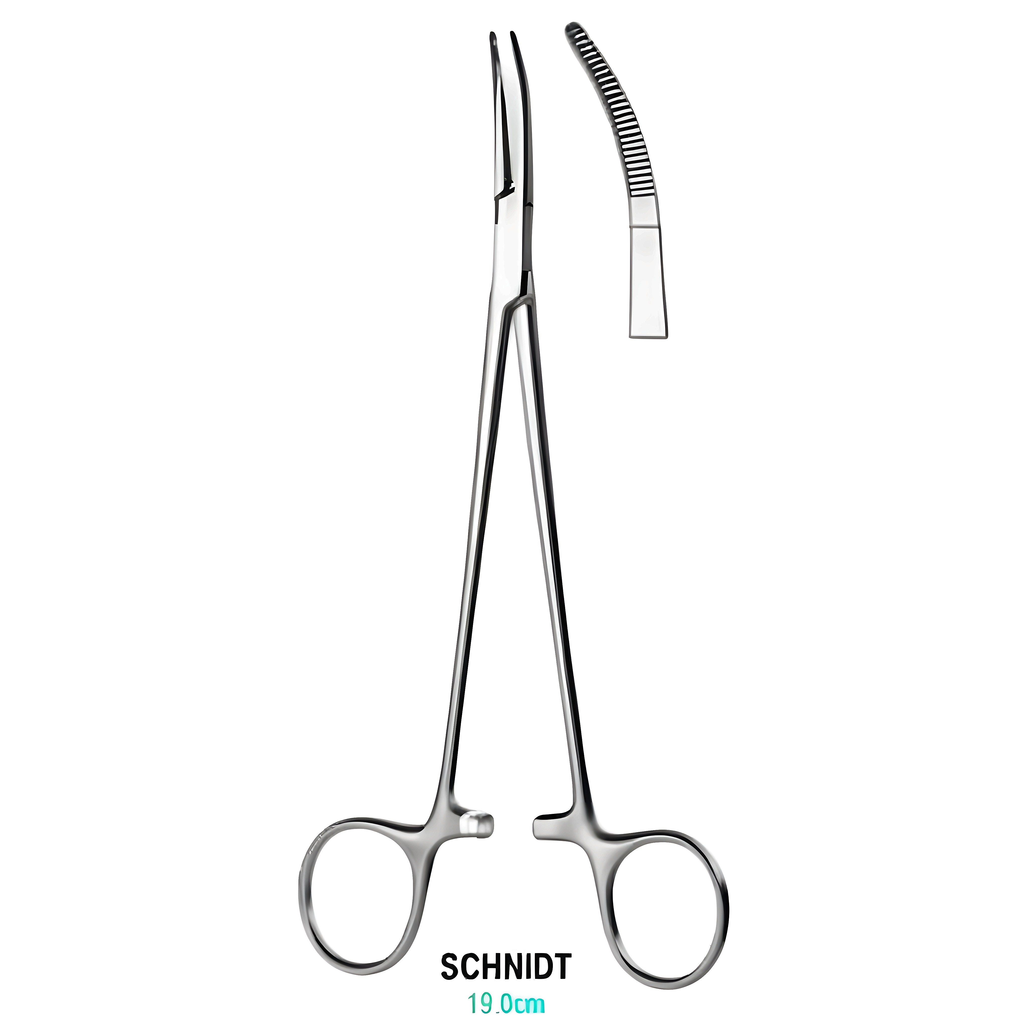 Schnidt Tonsil Fcps closed ring S/cvd 19cm