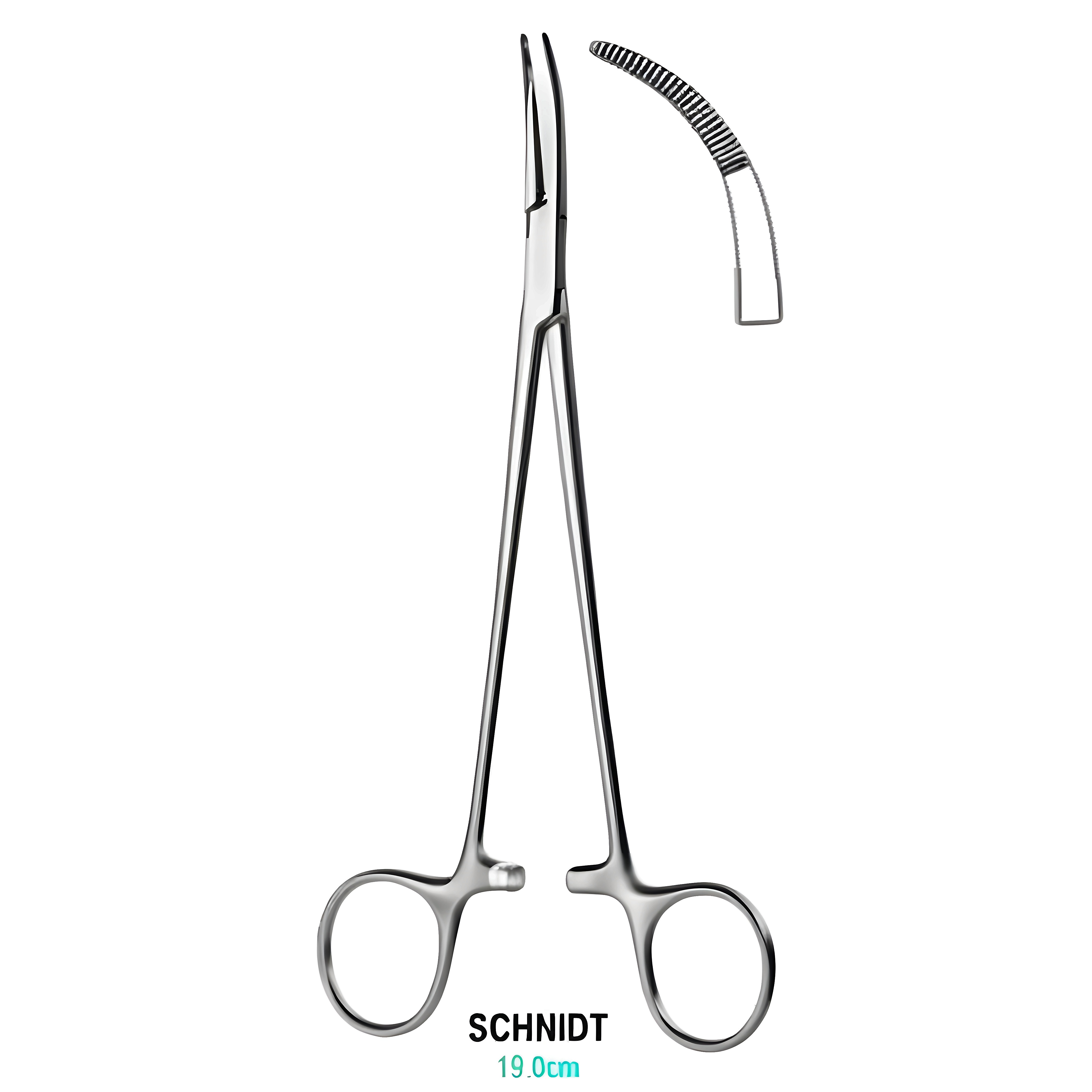 Sawtell Tonsil Fcps F/cvd closed ring 19cm