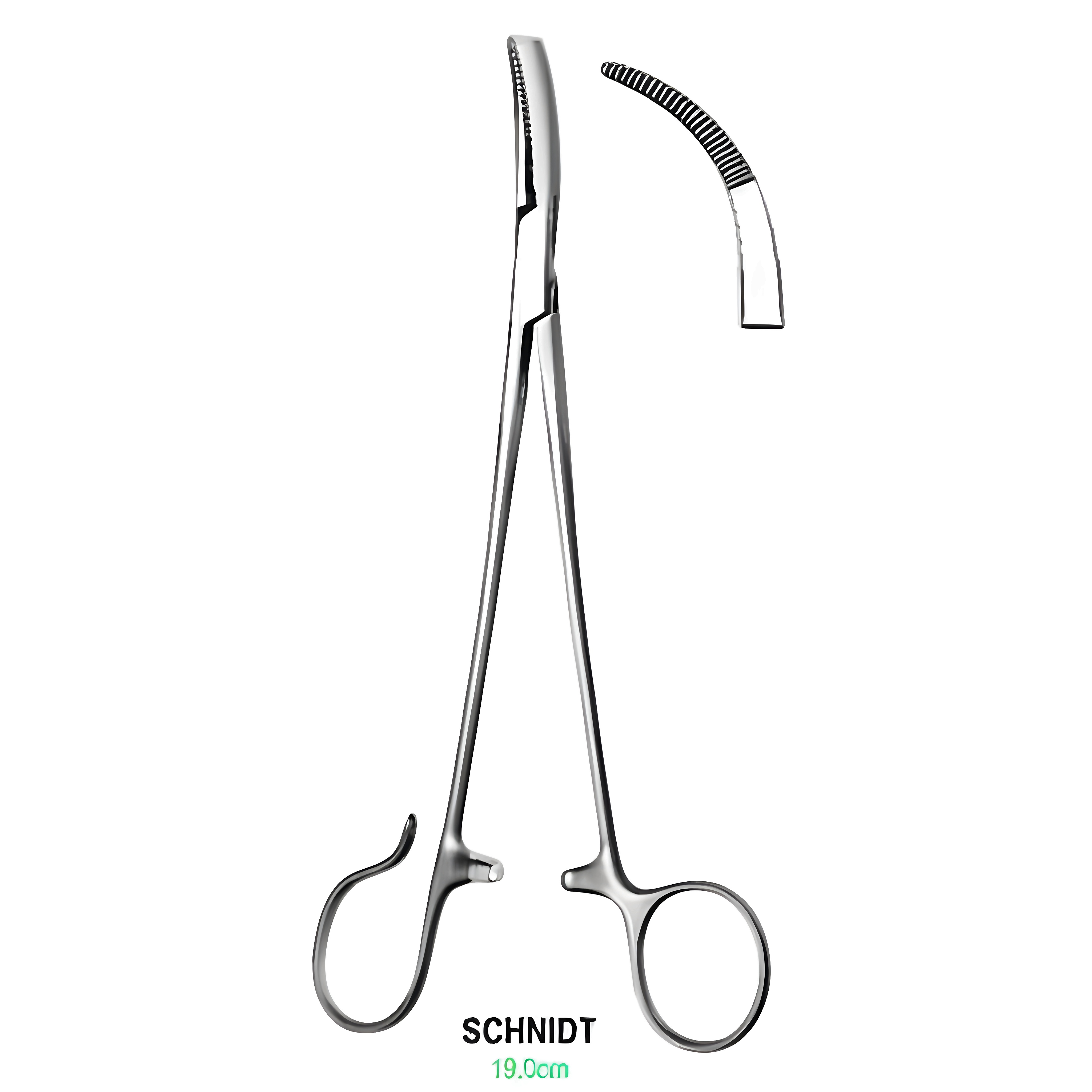 Sawtell Tonsil Fcps one open ring 19cm