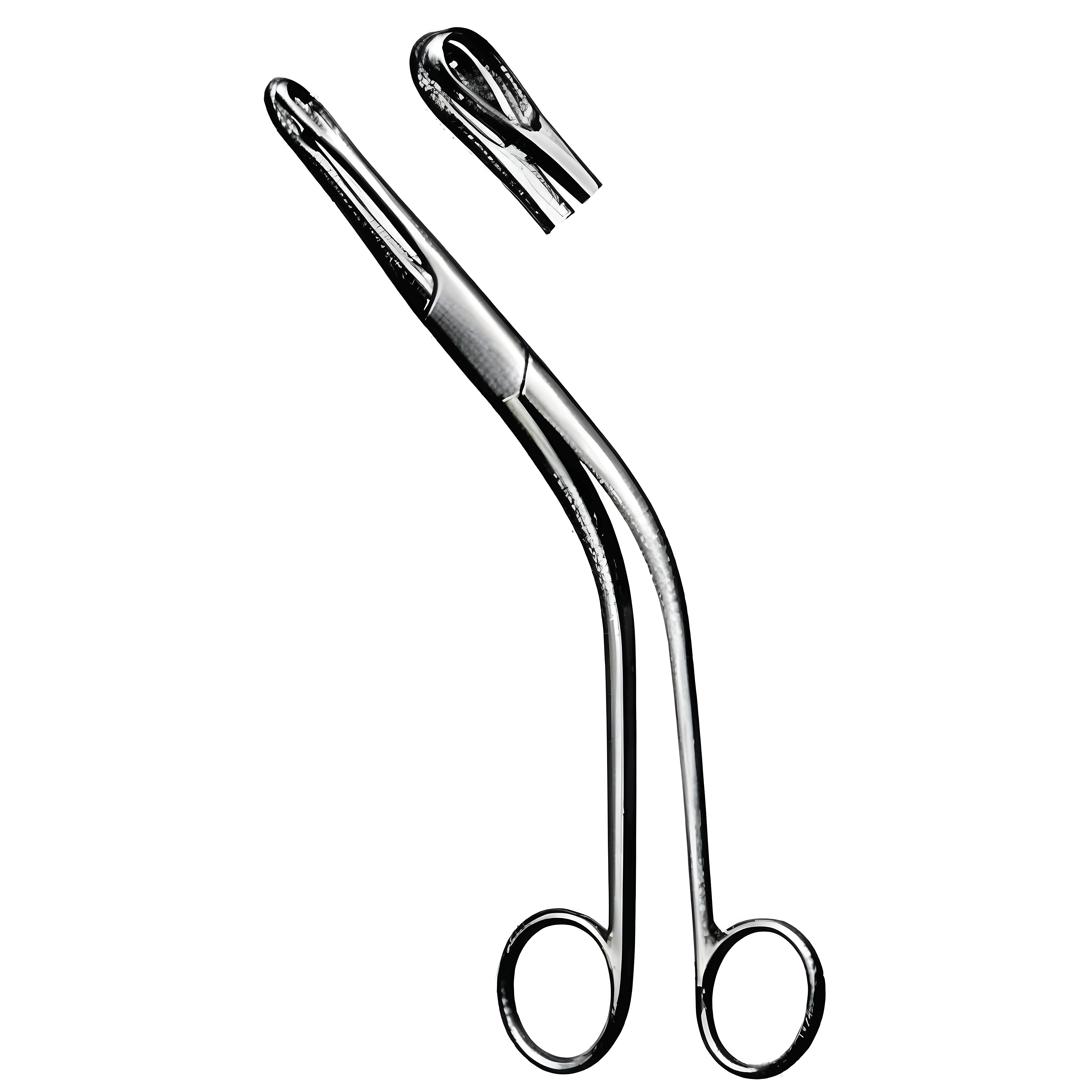 Denis Brown Tonsil Holding Fcps large 21cm