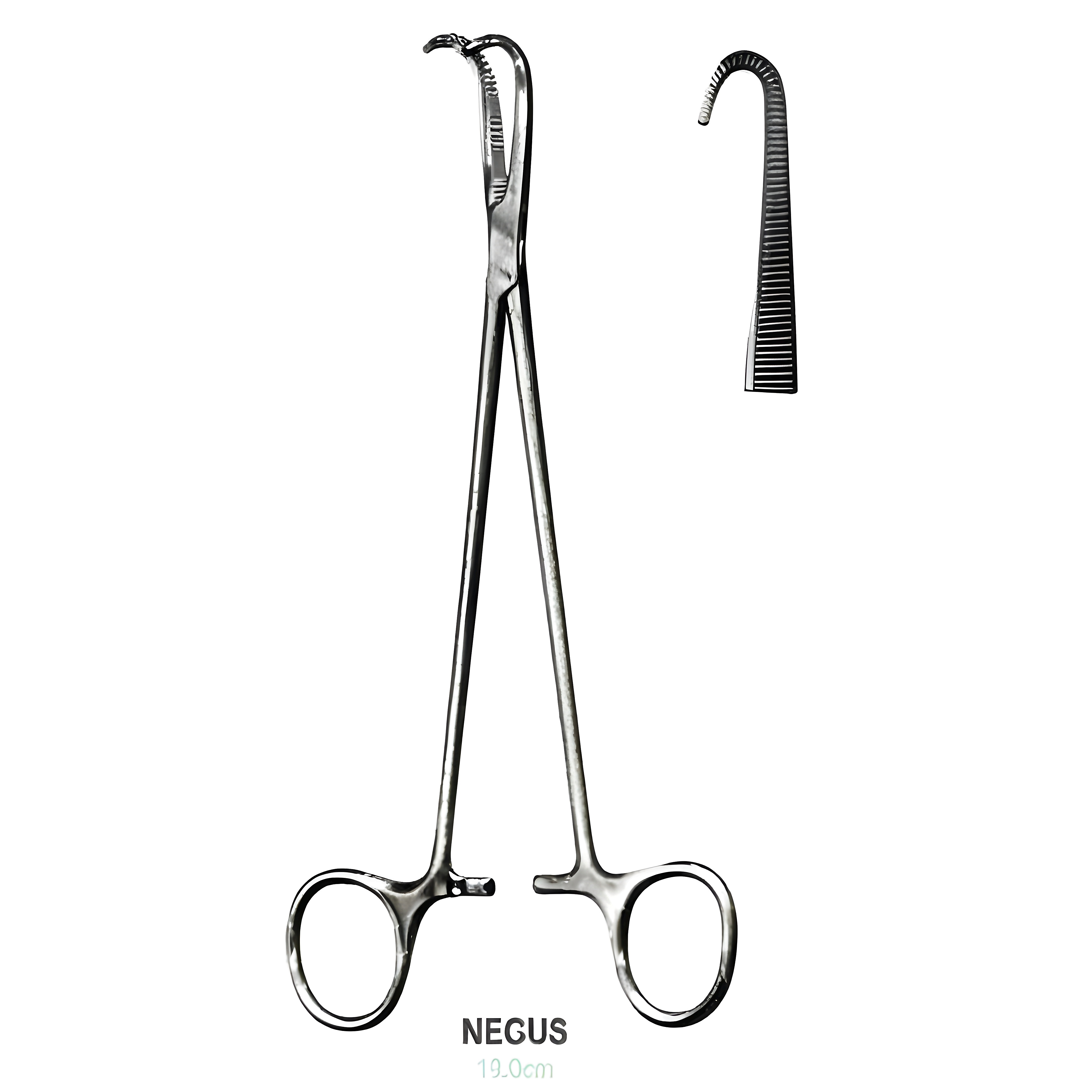 Negus Tonsil Fcps cvd Fig.2, 19cm