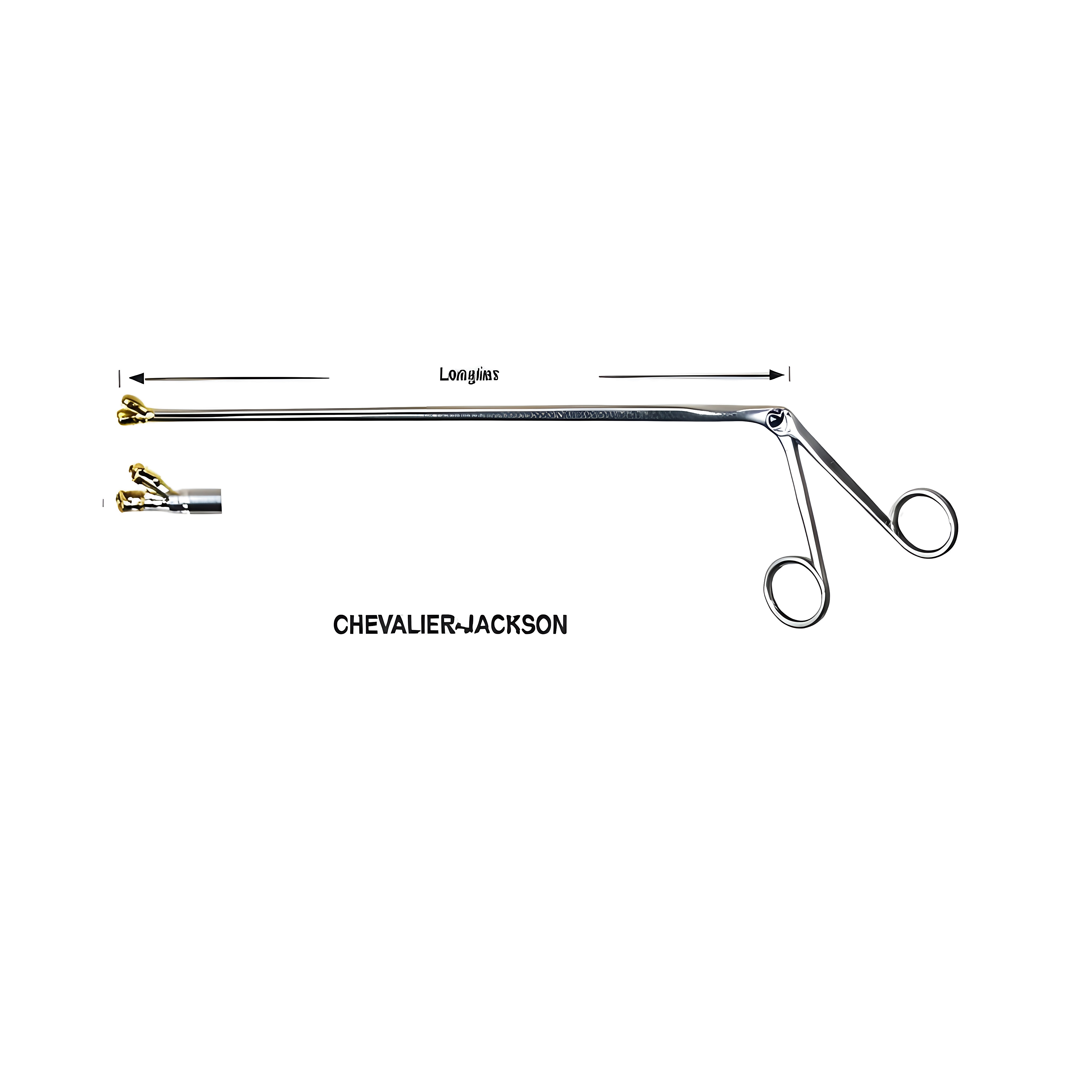 Chevalier Jackson Fcps Fig.1, 30cm