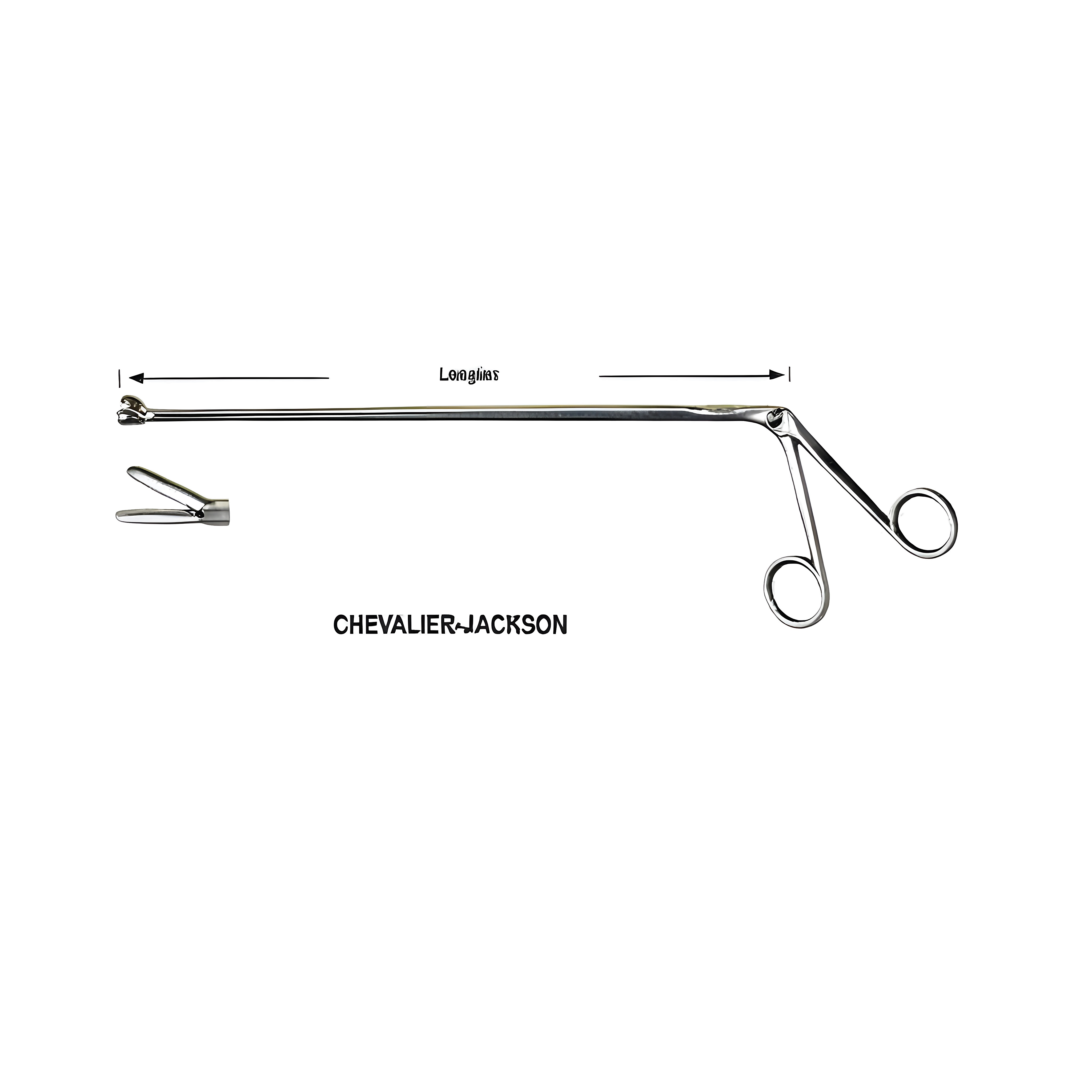 Chevalier Jackson Fcps Fig.2, 30cm