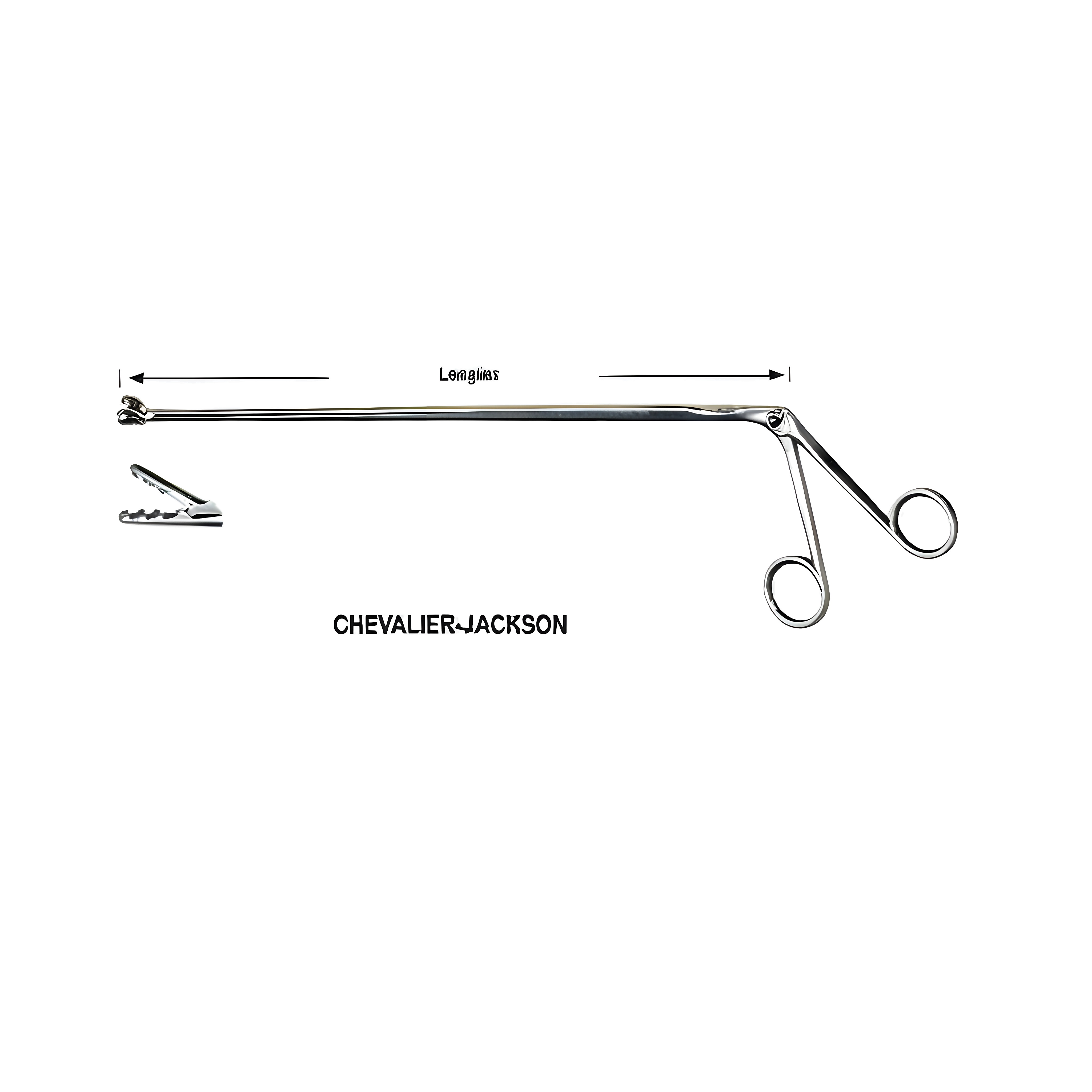 Chevalier Jackson Fcps Fig.3, 50cm