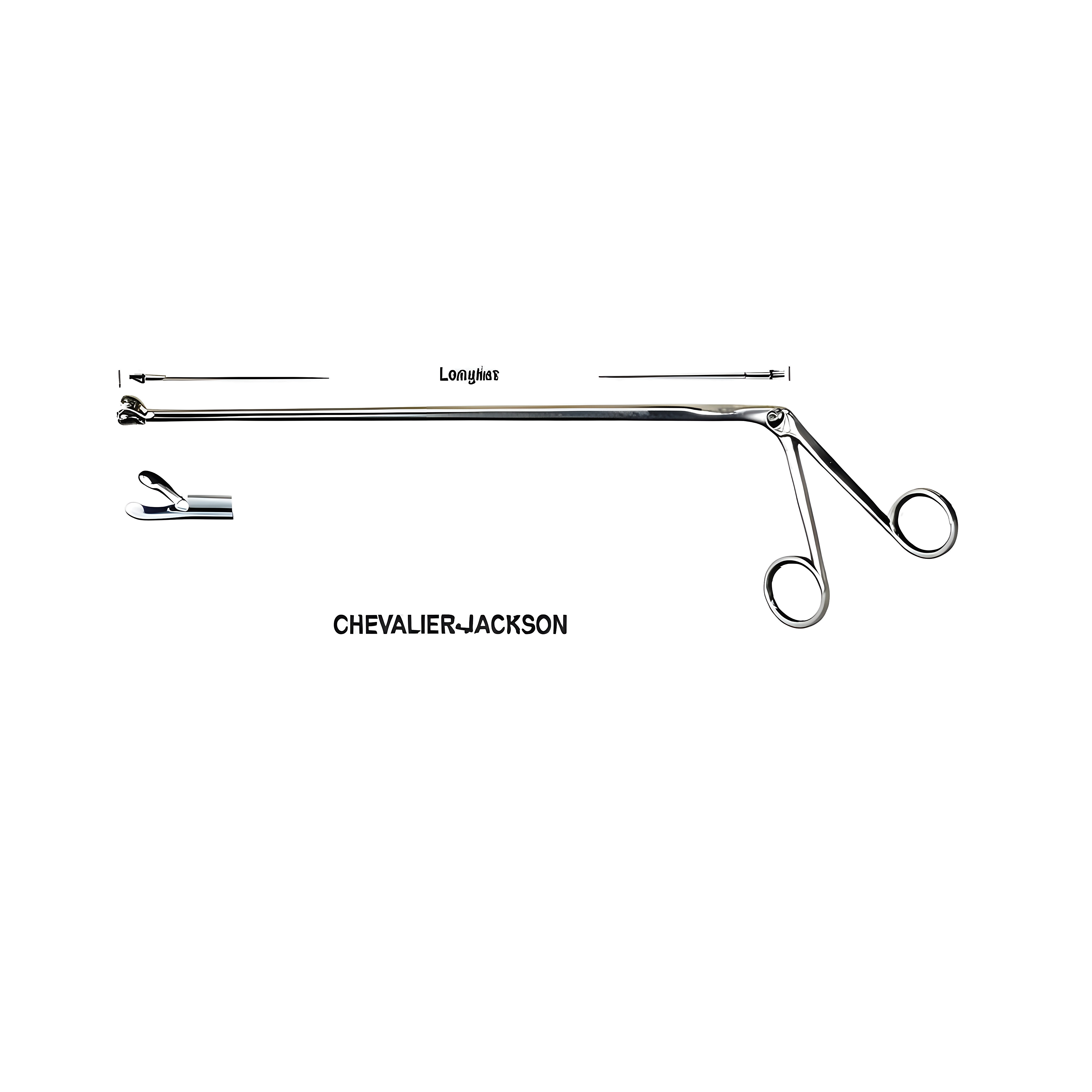Chevalier Jackson Fcps Fig.4, 30cm