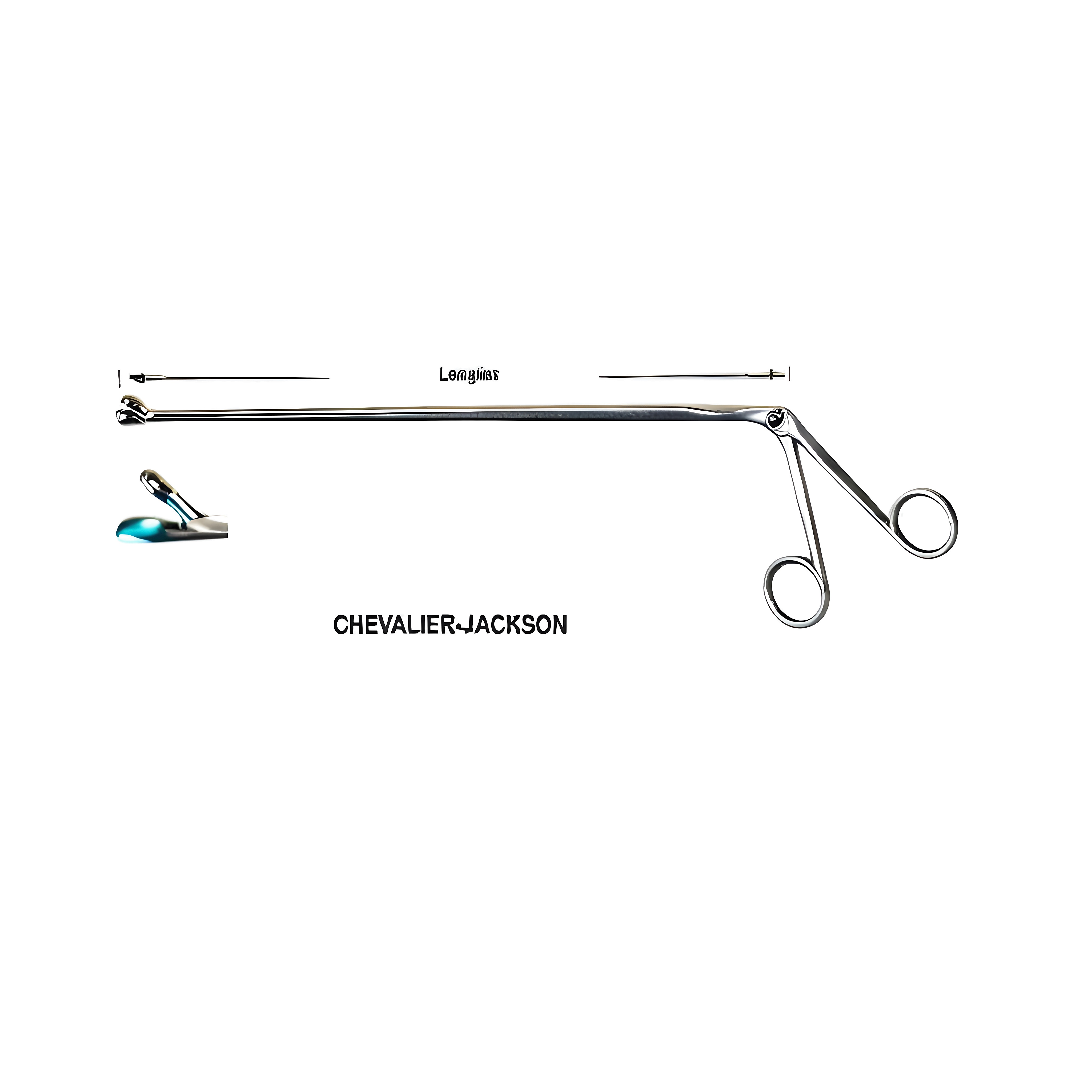 Chevalier Jackson Fcps Fig.5, 30cm