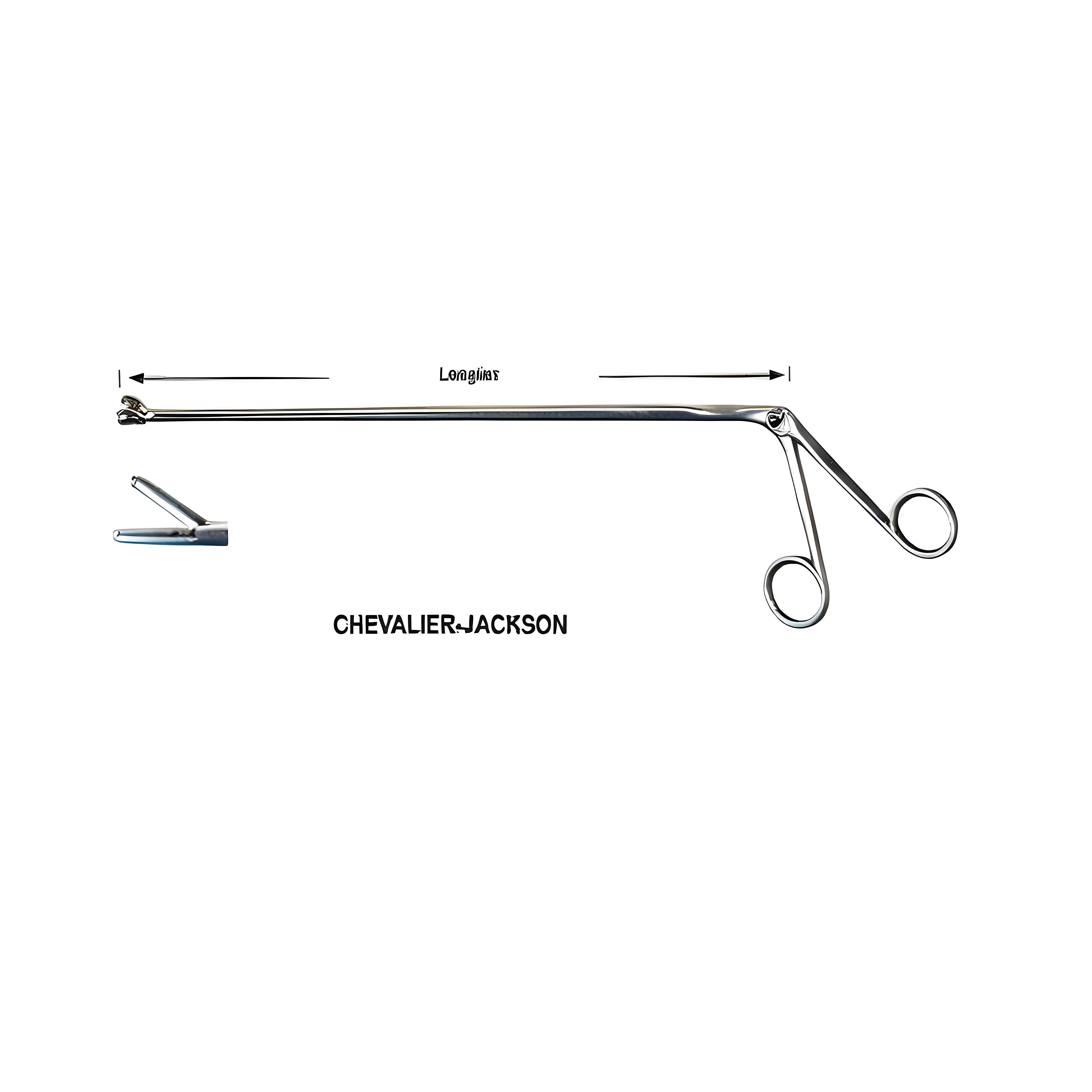Chevalier Jackson Fcps Fig.6, 30cm