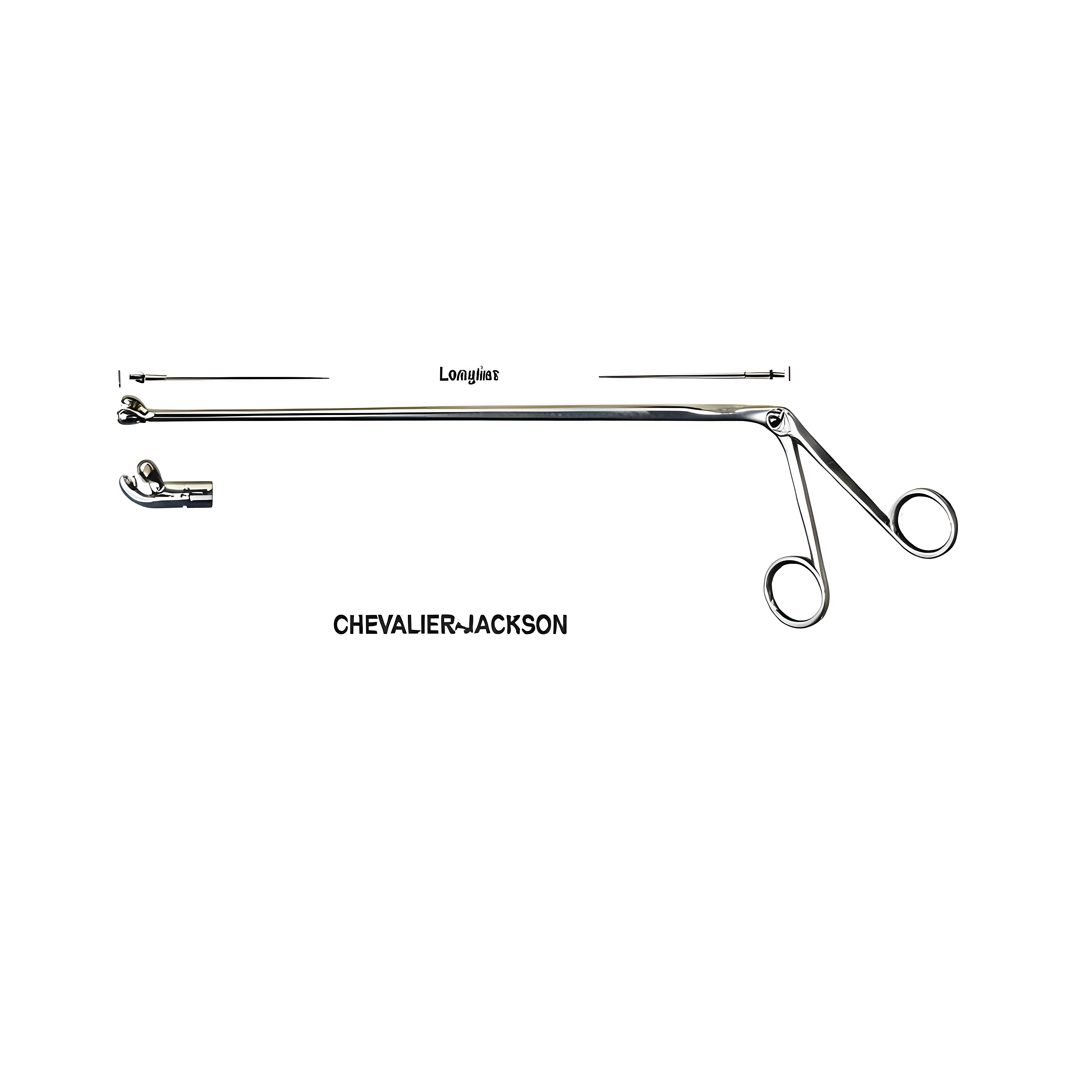 Chevalier Jackson Fcps Fig.7, 30cm