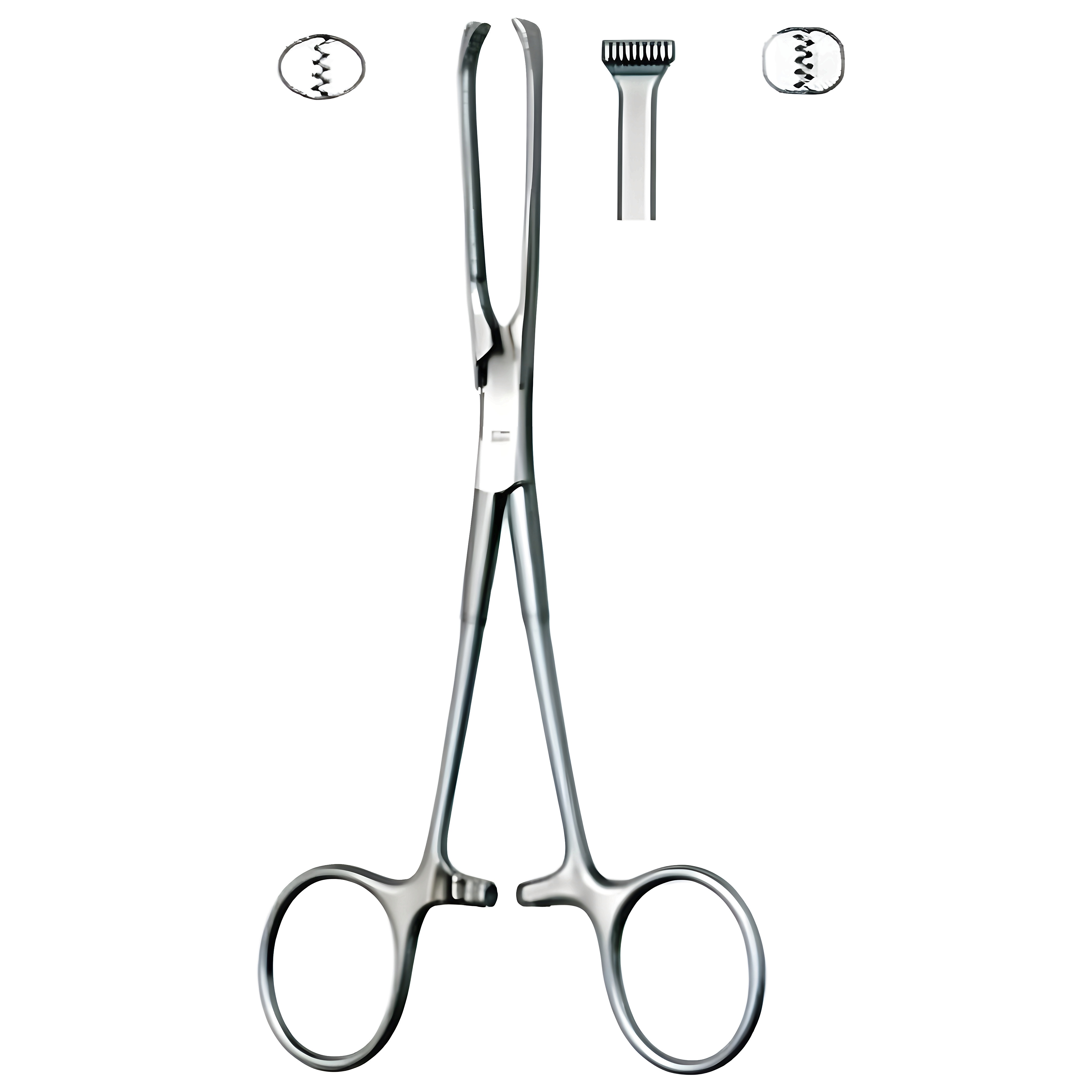 Allis Tissue Fcps 4x5T 19cm