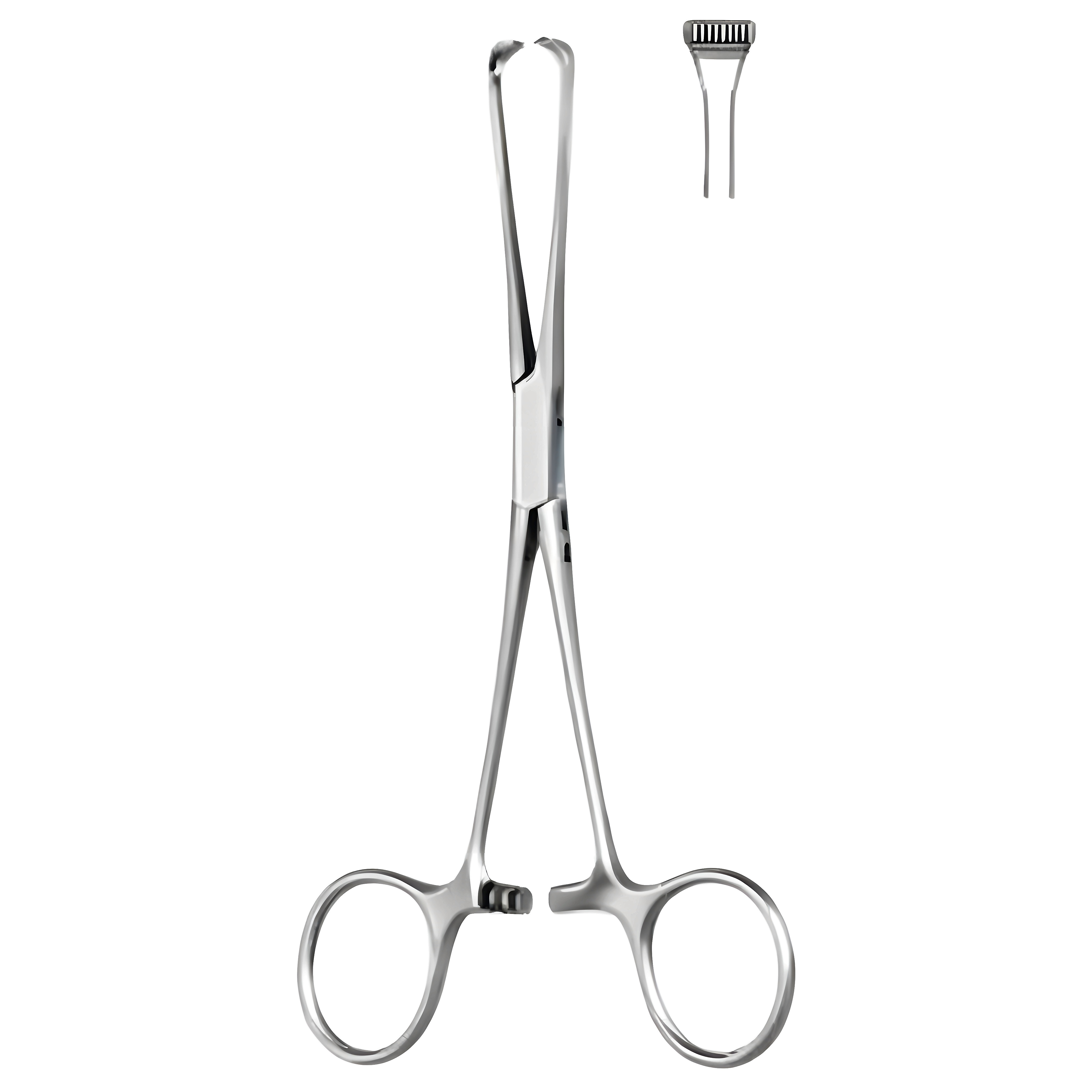Boys Allis Intestinal Tissue Fcps 15cm