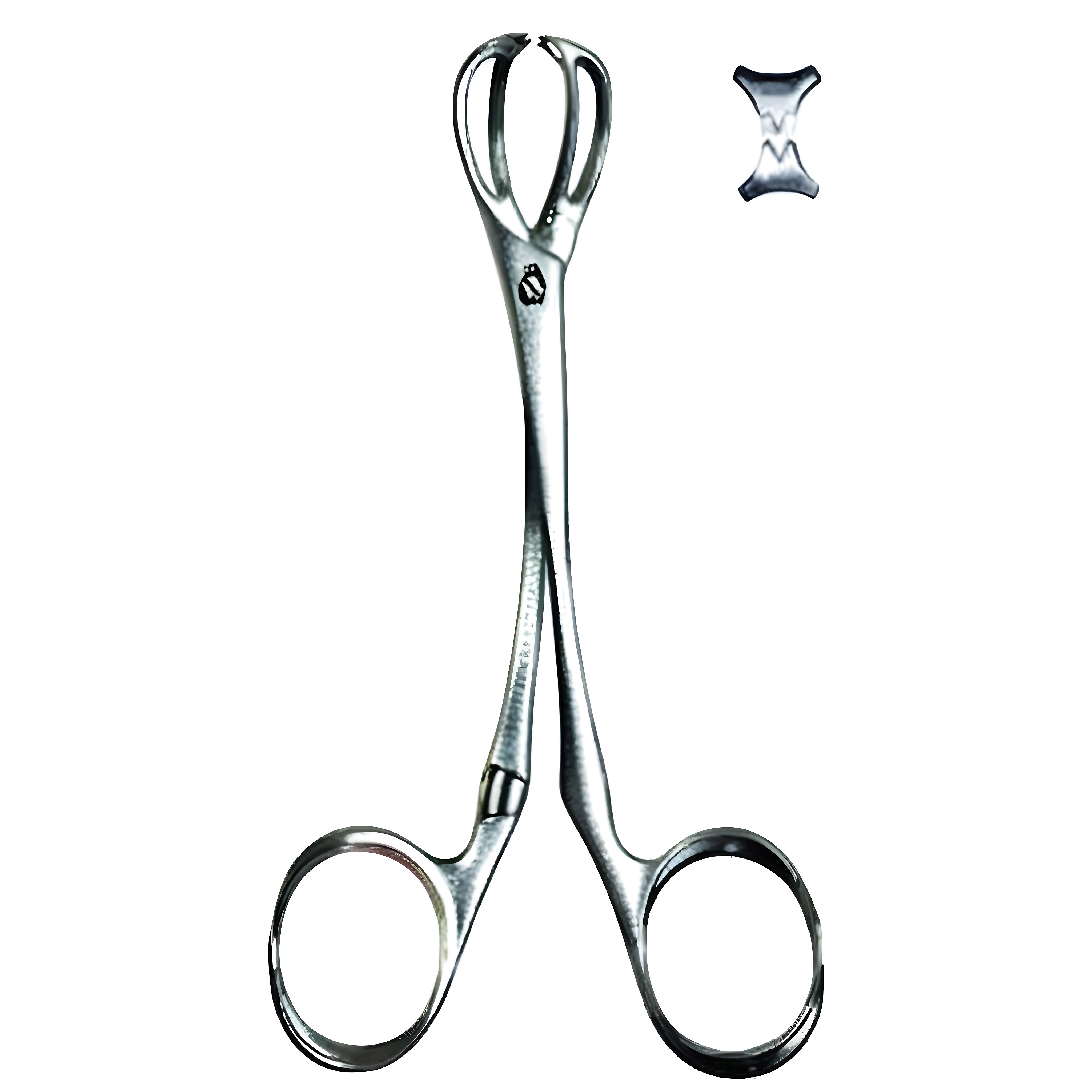 Lane Tissue Fcps S/J 12.5cm