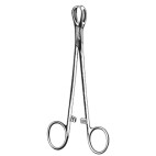 Lane Tissue Fcps 12.5cm