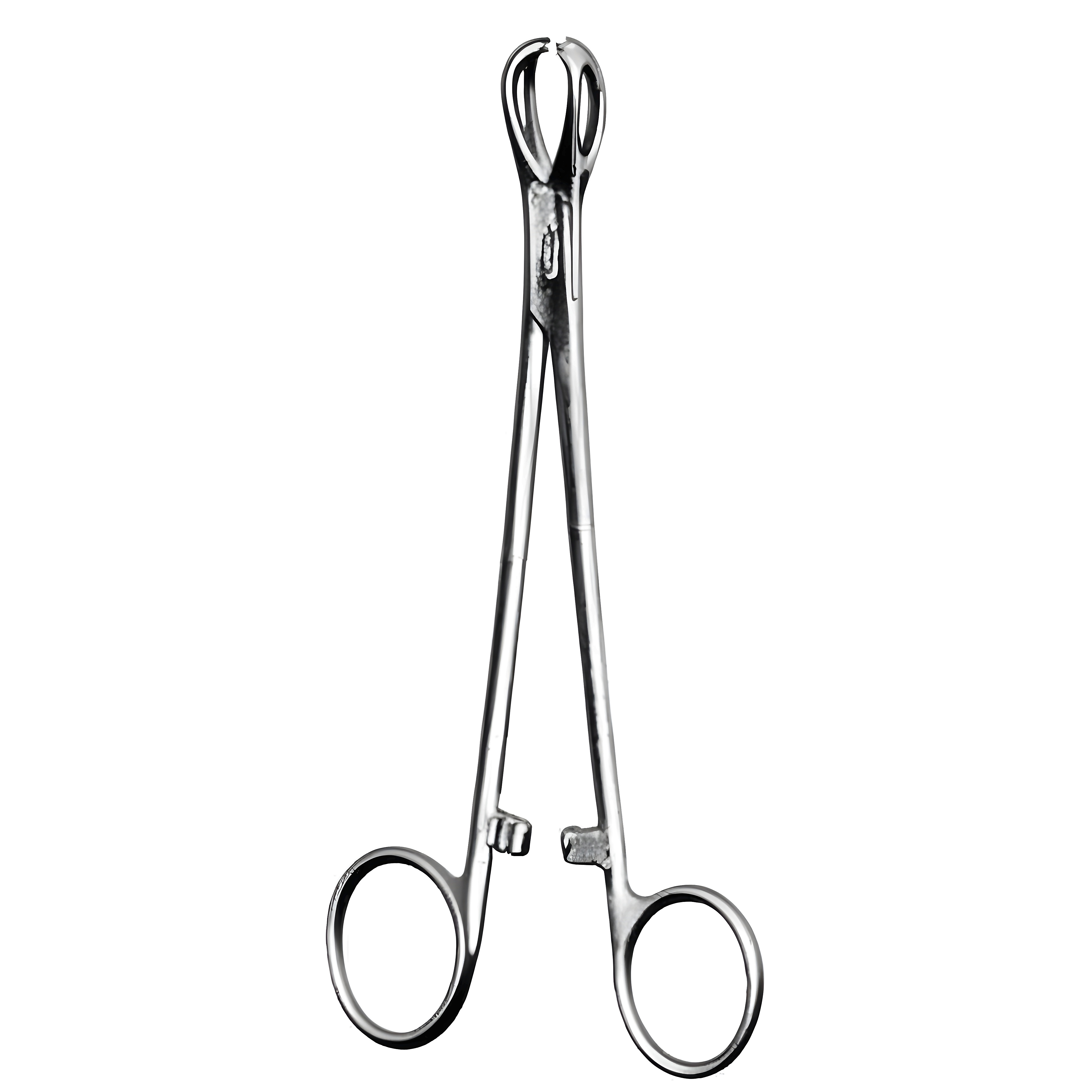 Lane Tissue Fcps 12.5cm