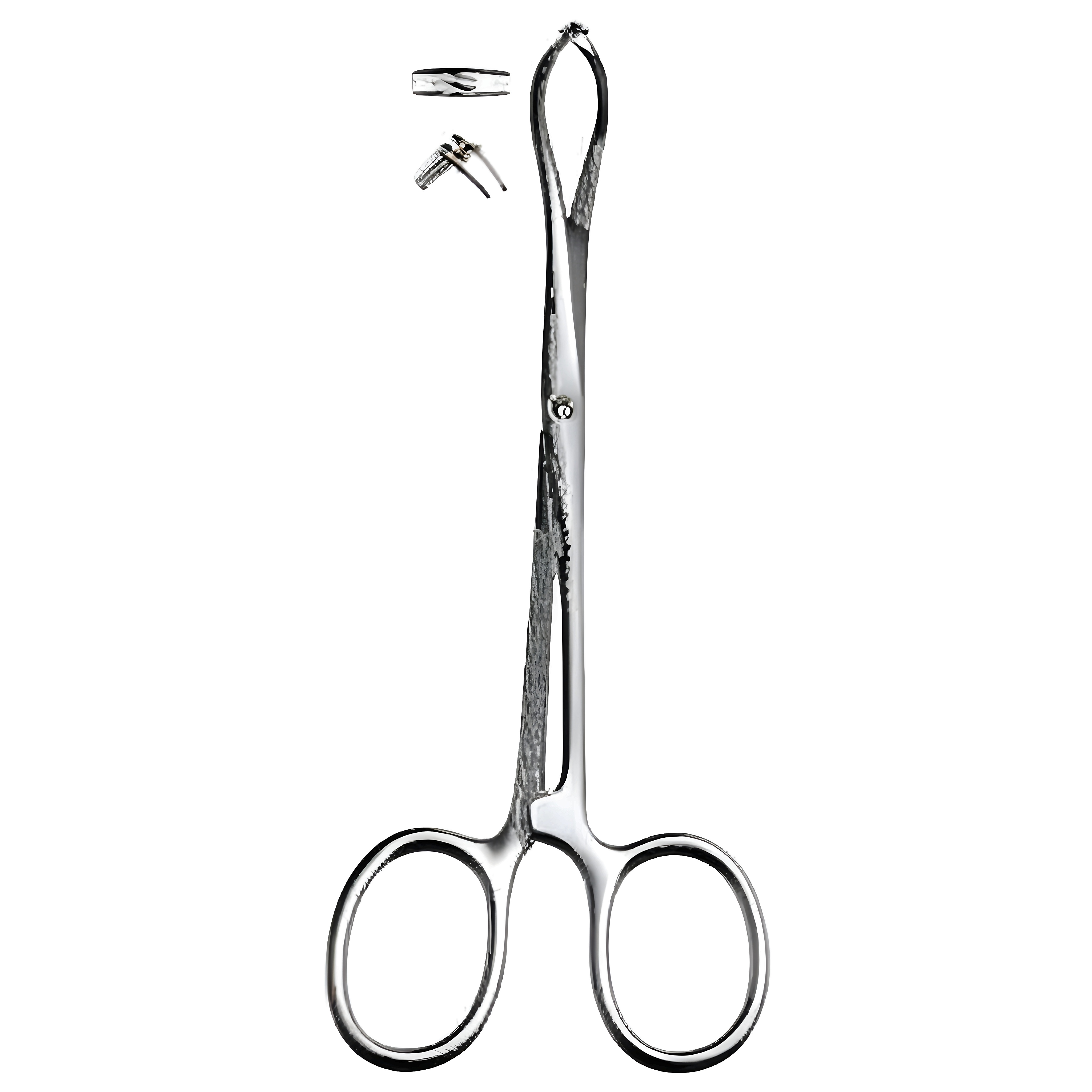 Porrier Tissue Fcps 12.5cm