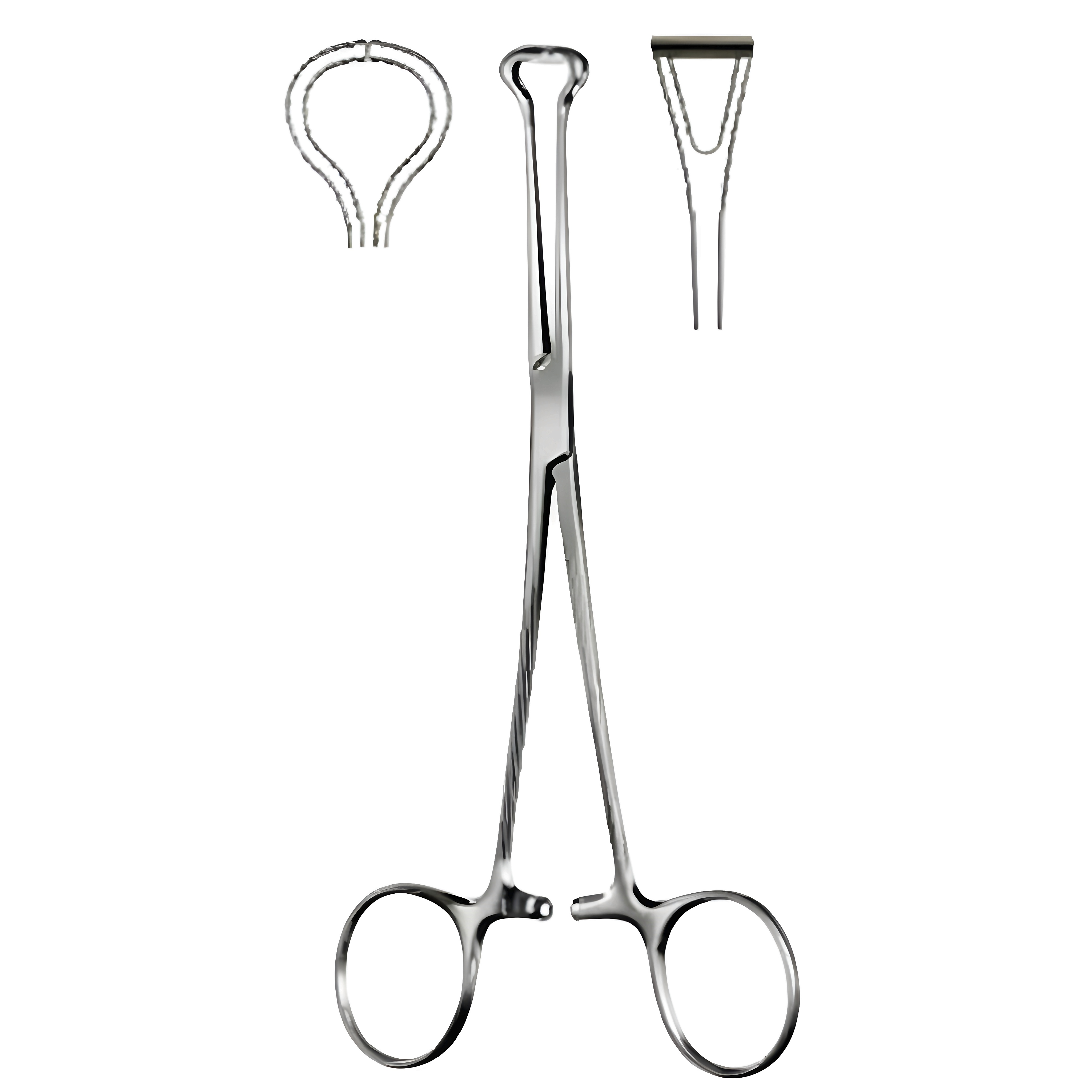 Babcock Tissue Fcps Long. serr 16cm