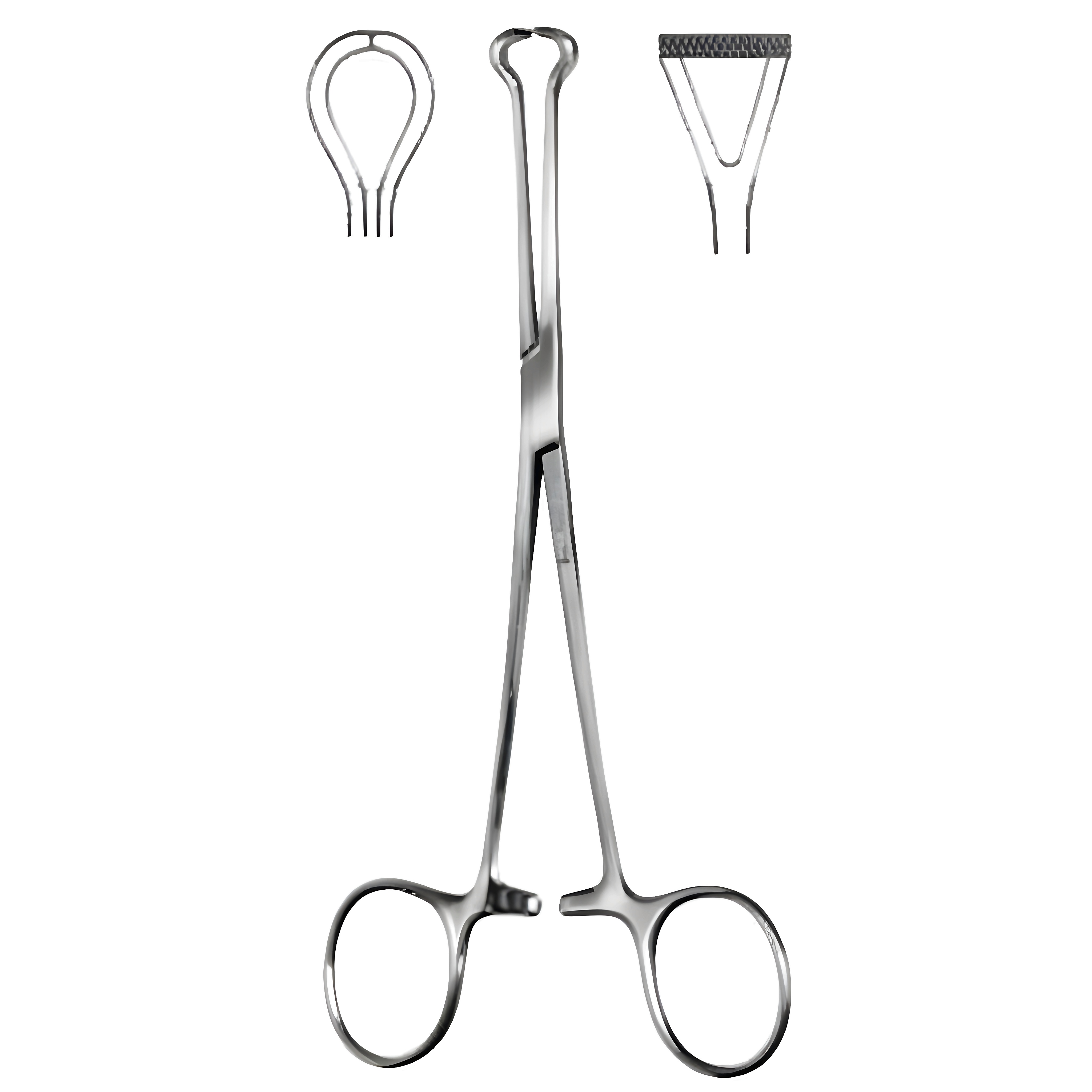 Babcock Tissue Fcps cross serr 16cm