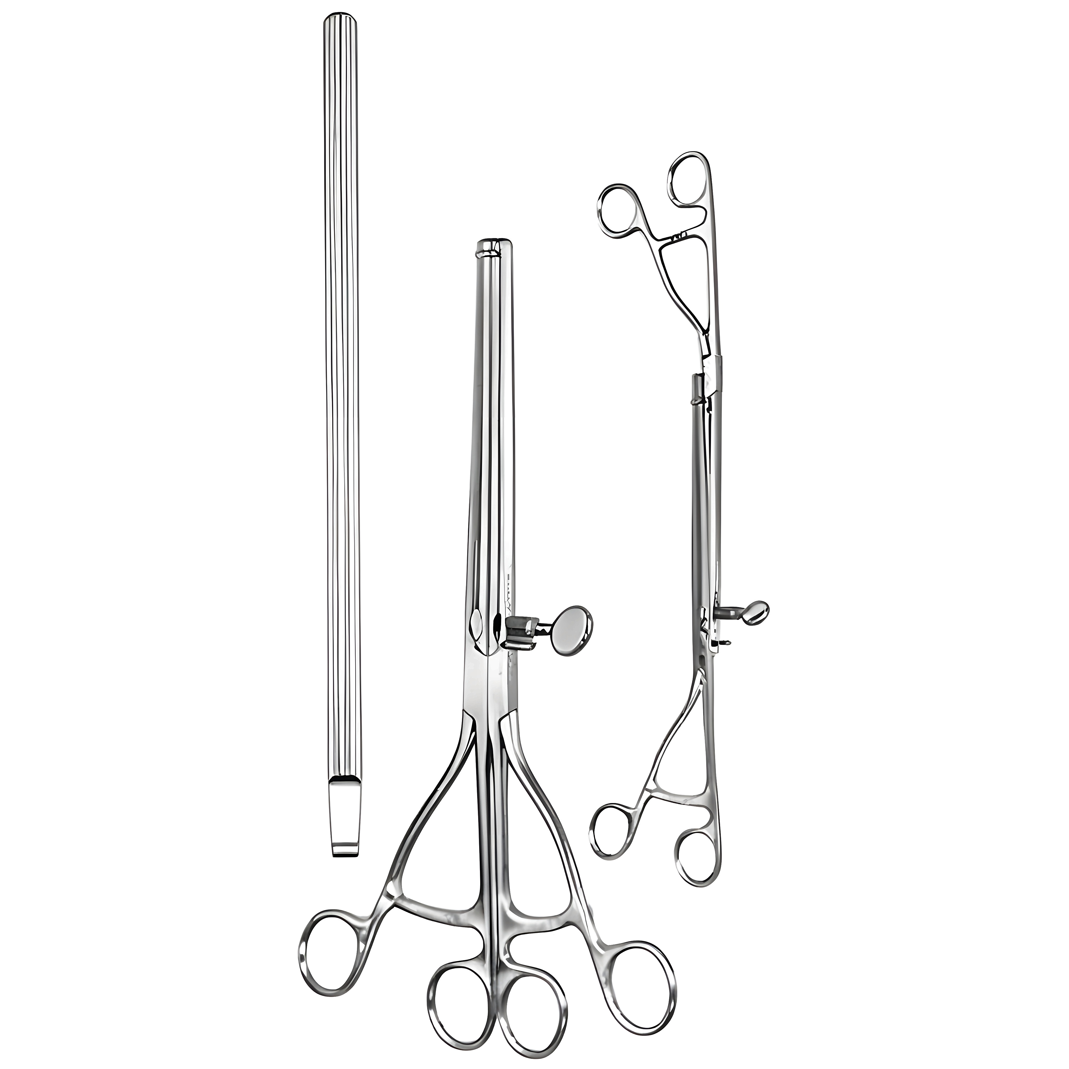 Lane Twin Stomach Clamp Fcps 30cm