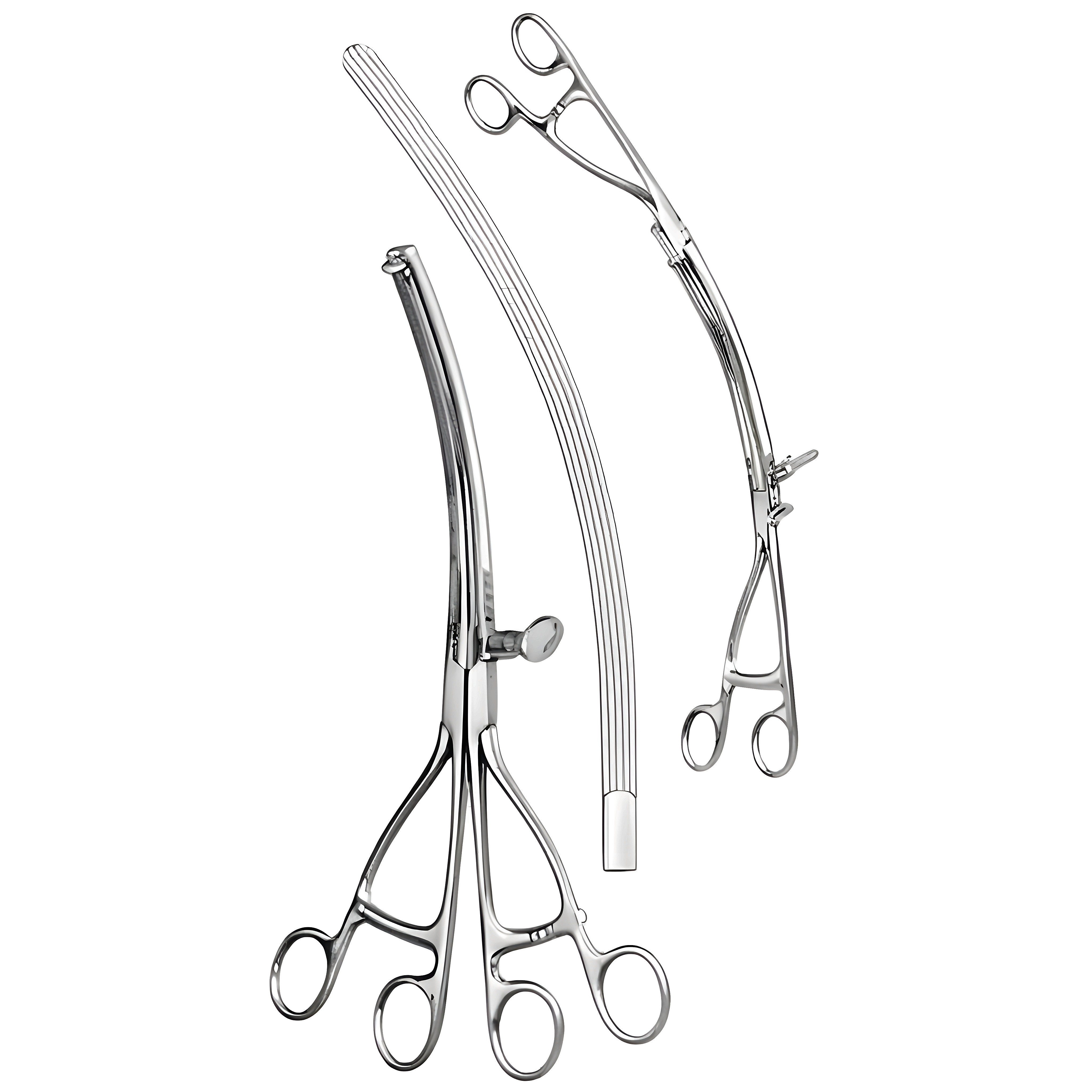Lane Twin Stomach Clamp Fcps cvd 30cm