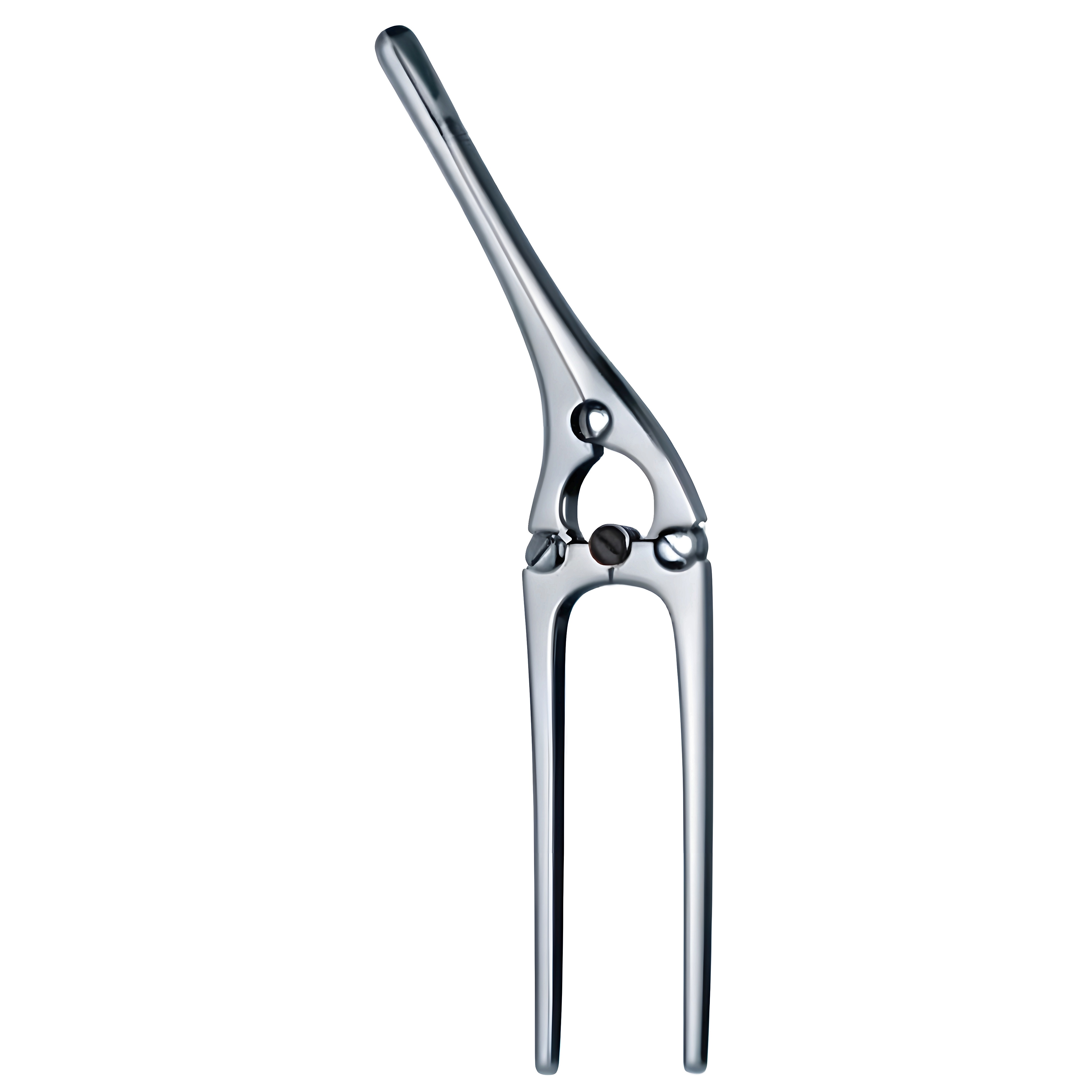 Payr Intestinal Crushing Clamp w/pin 29cm