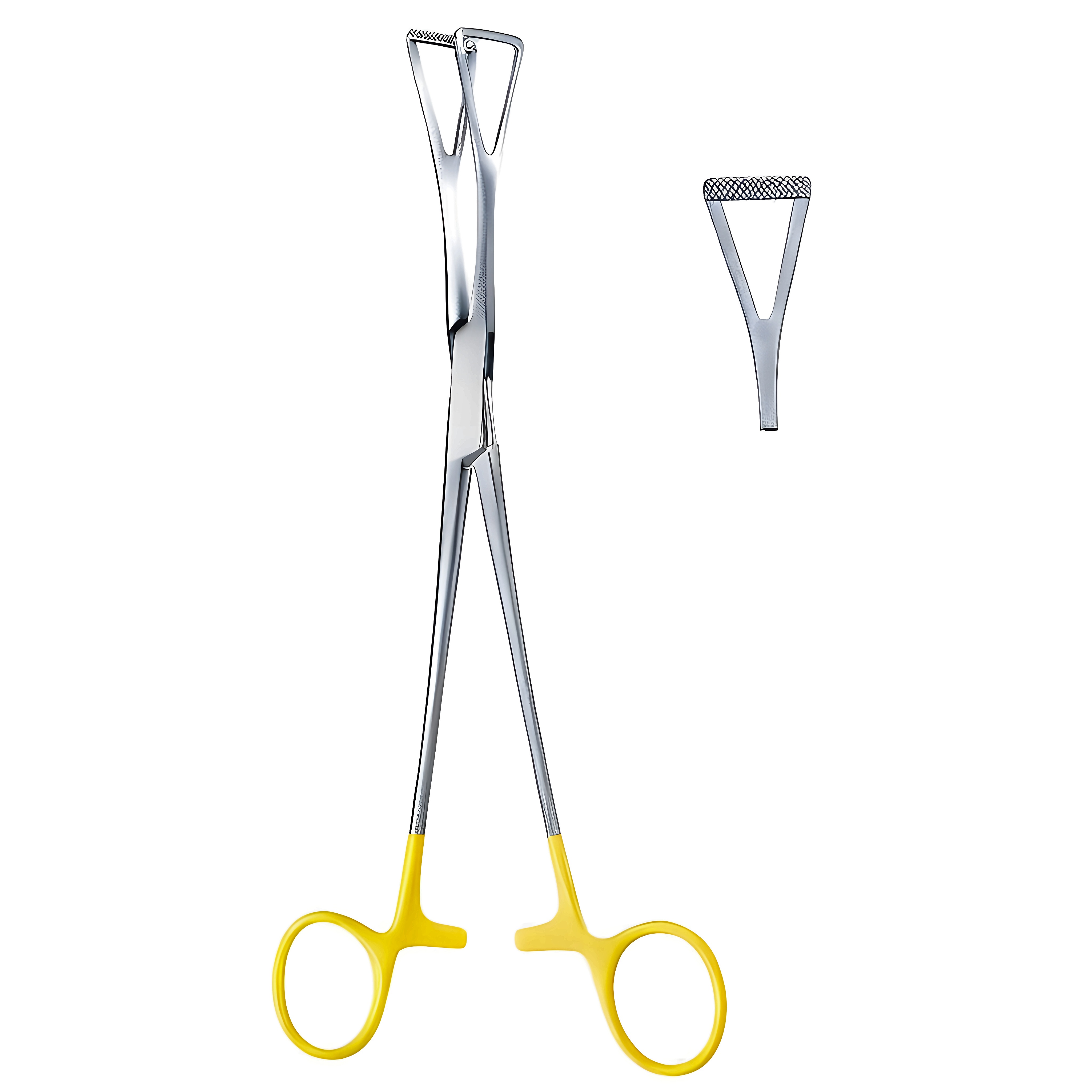 Duval Grasping Fcps 13mm, 18cm TC