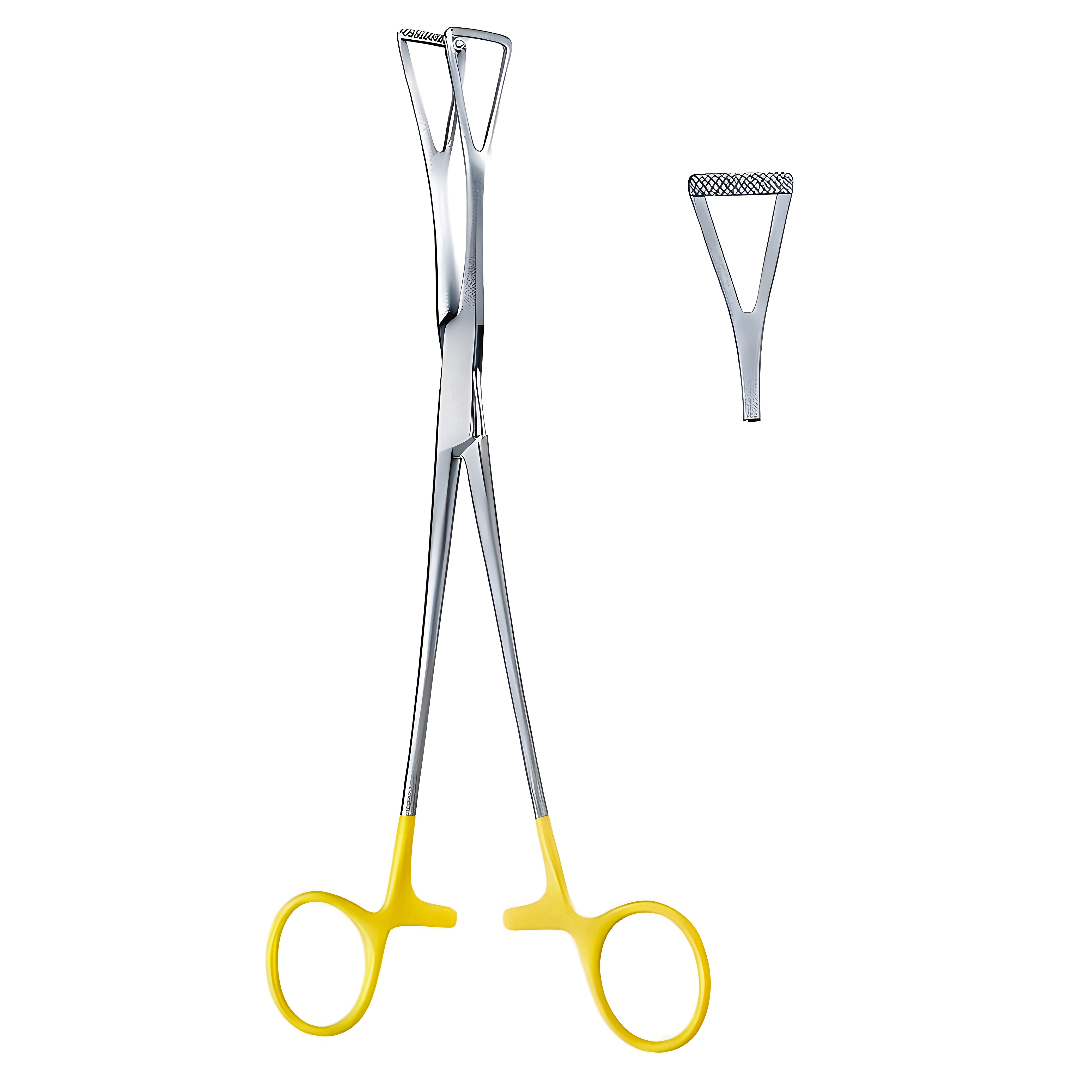 Duval Grasp Fcps 13mm, 20cm TC