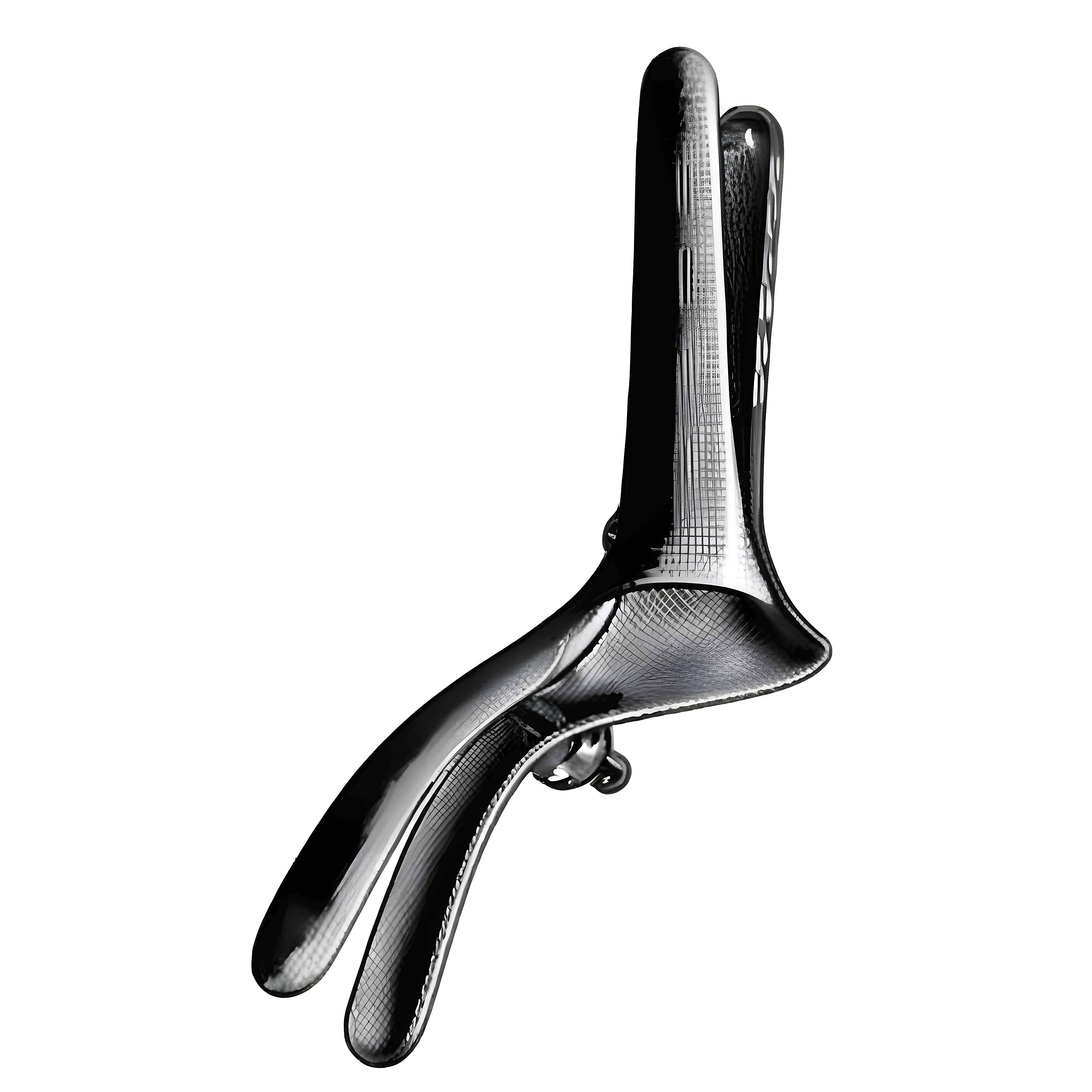 Ricord Rectal Speculam