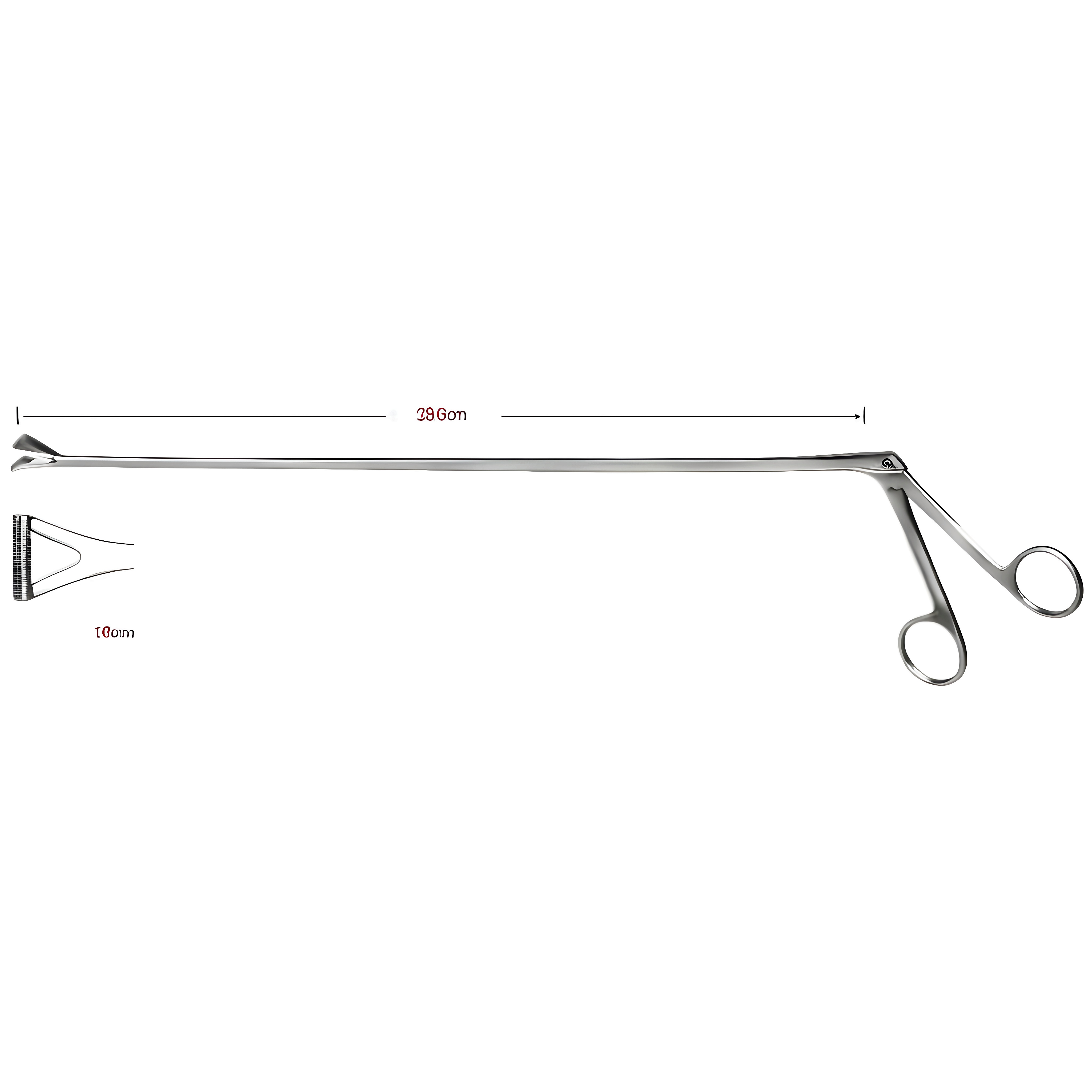 Rectal Biopsy Specimen Fcps 15mm, 38cm
