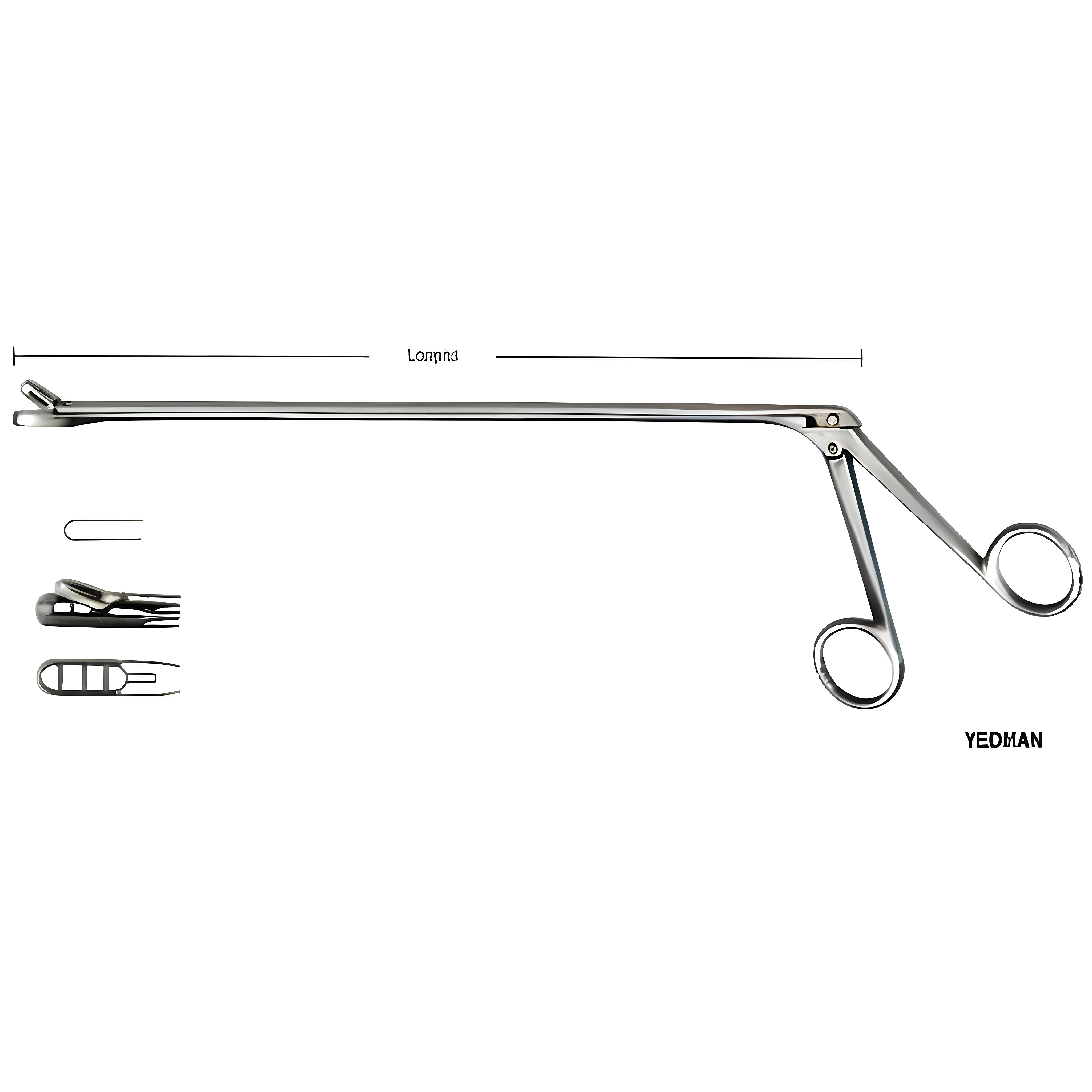 Yeoman Rectal Biopsy Specimen Fcps Fig.1 28cm