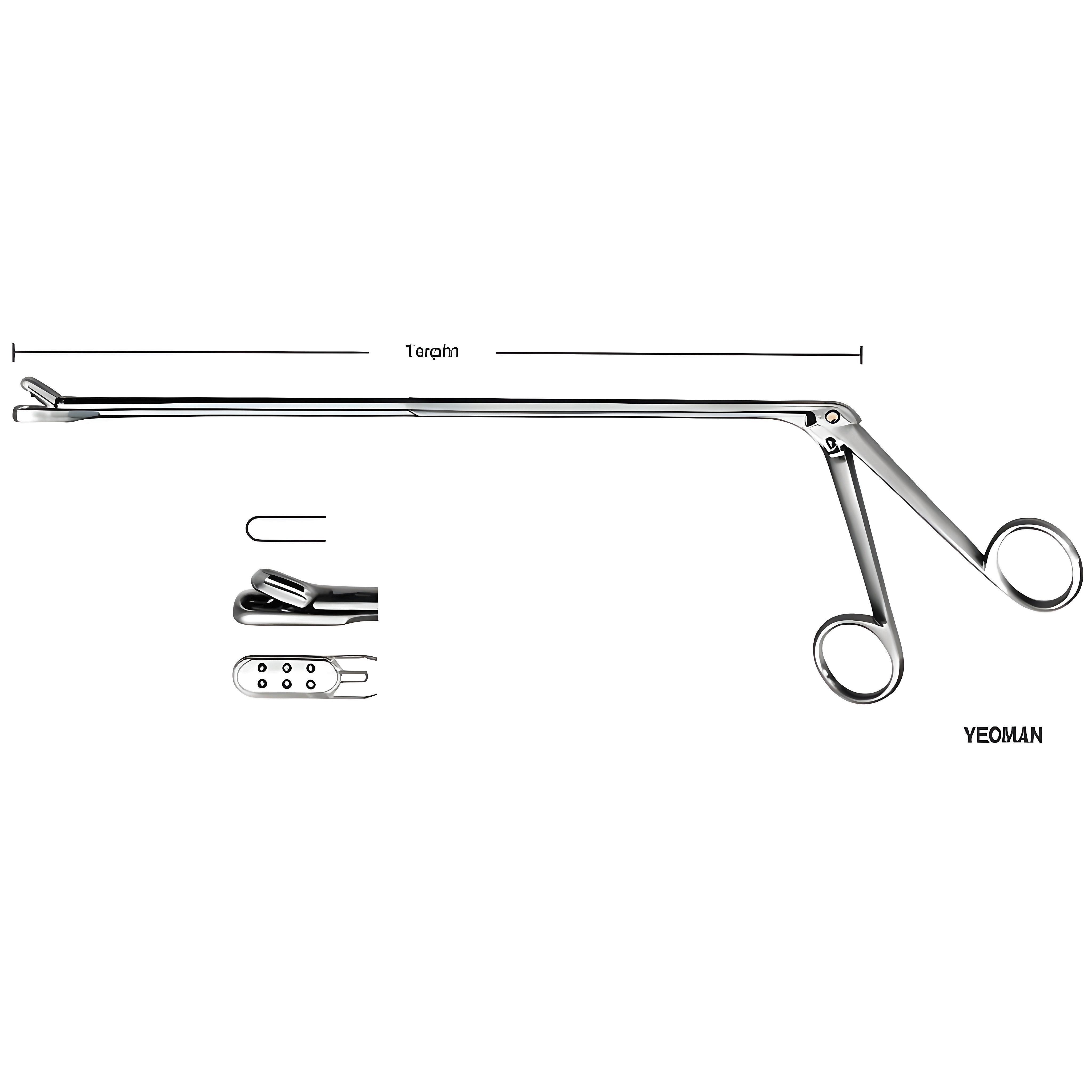 Yeoman Rectal Biopsy Specimen Fcps Fig.2 28cm