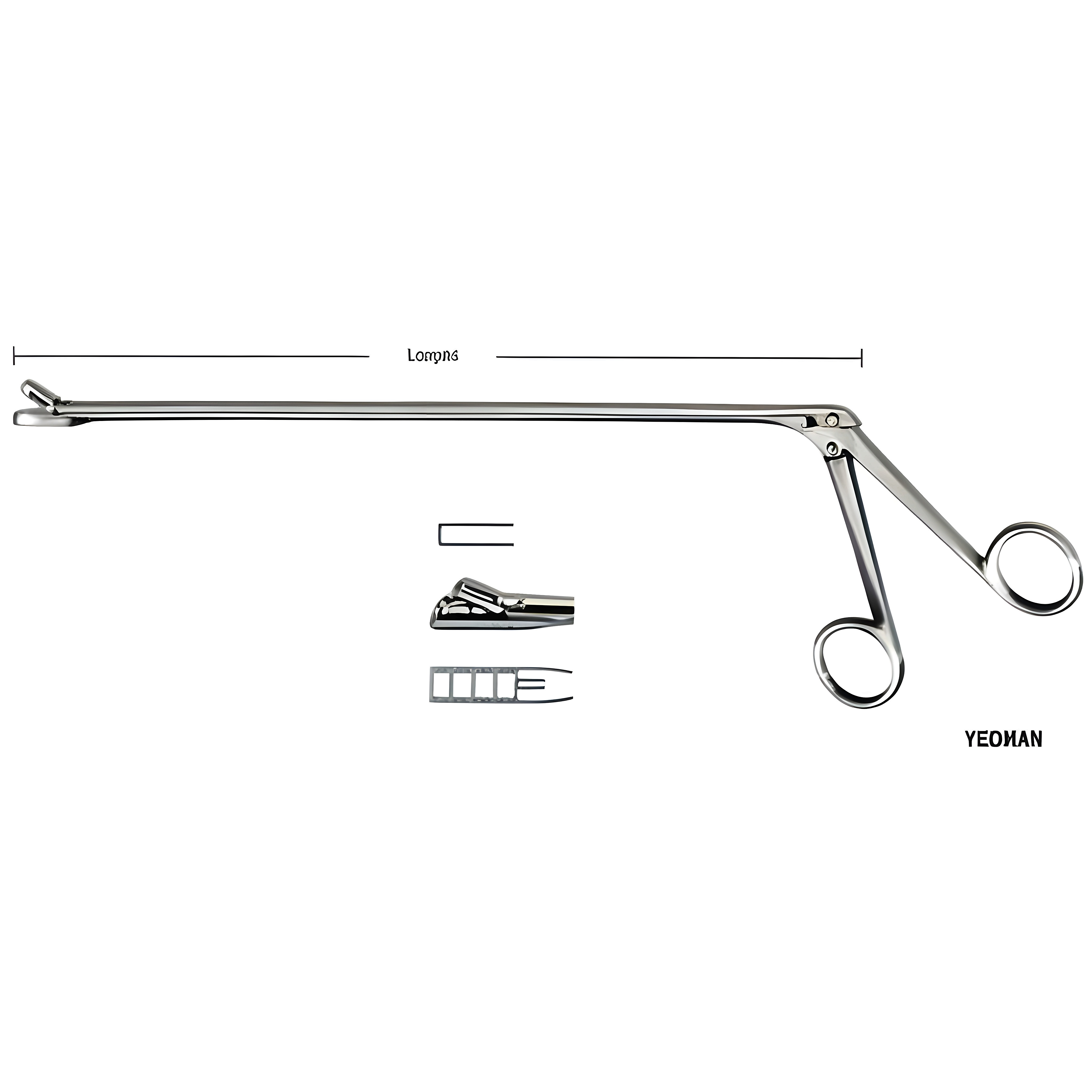 Yeoman Rectal Biopsy Specimen Fcps Fig.3 28cm