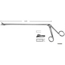Yeoman Rectal Biopsy Specimen Fcps Fig.4 28cm