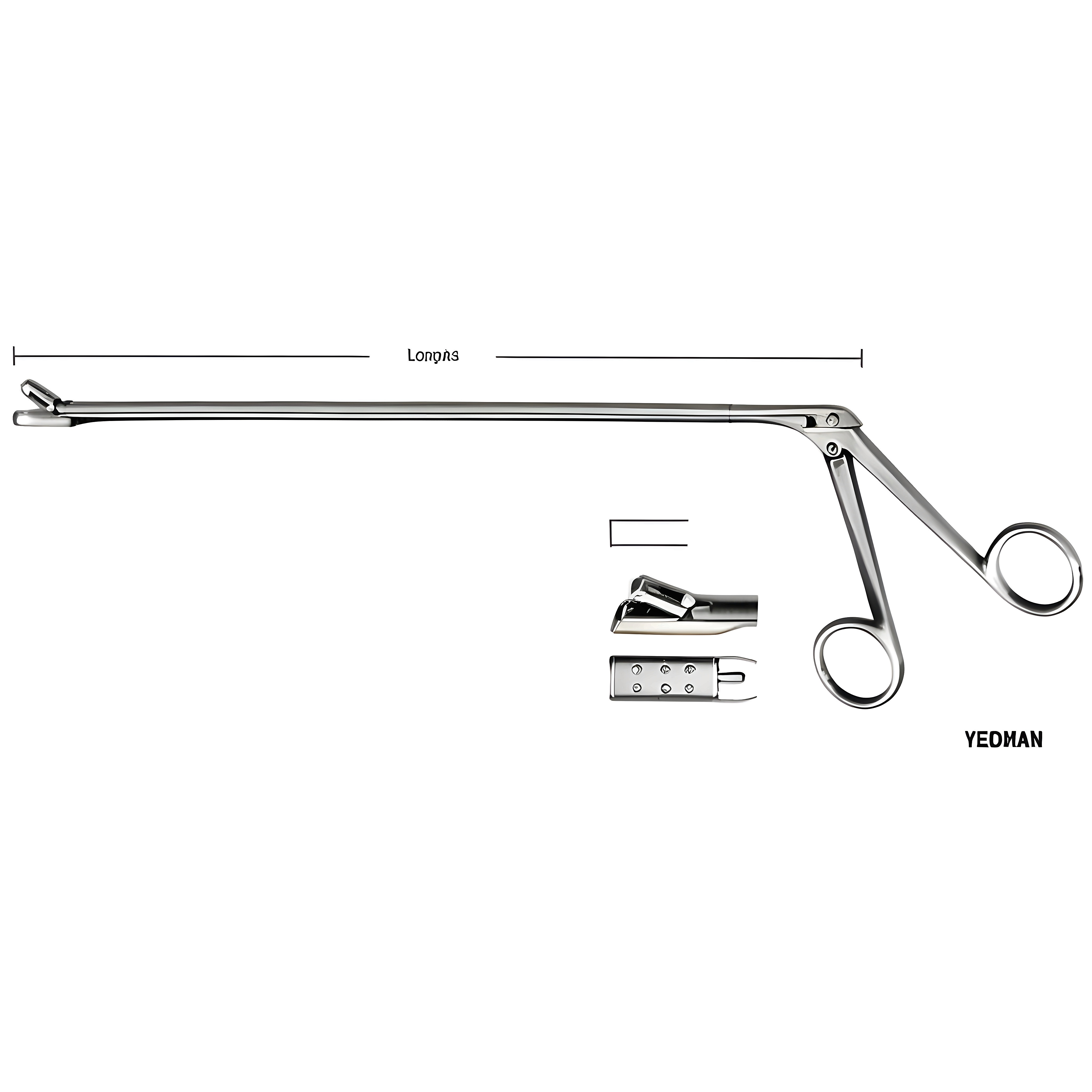 Yeoman Rectal Biopsy Specimen Fcps Fig.4 28cm