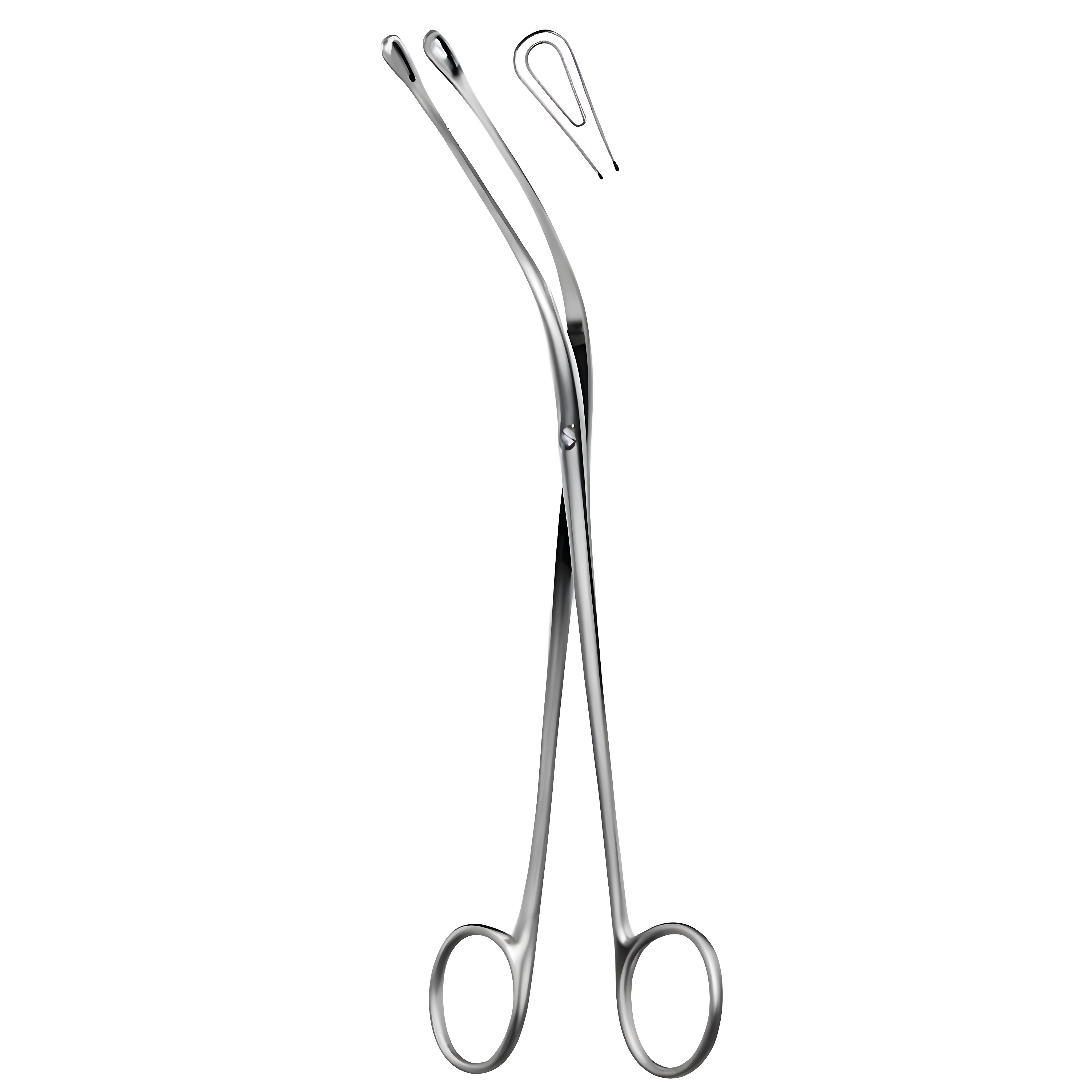 Mixter Gall Stone Fcps cvd 22cm