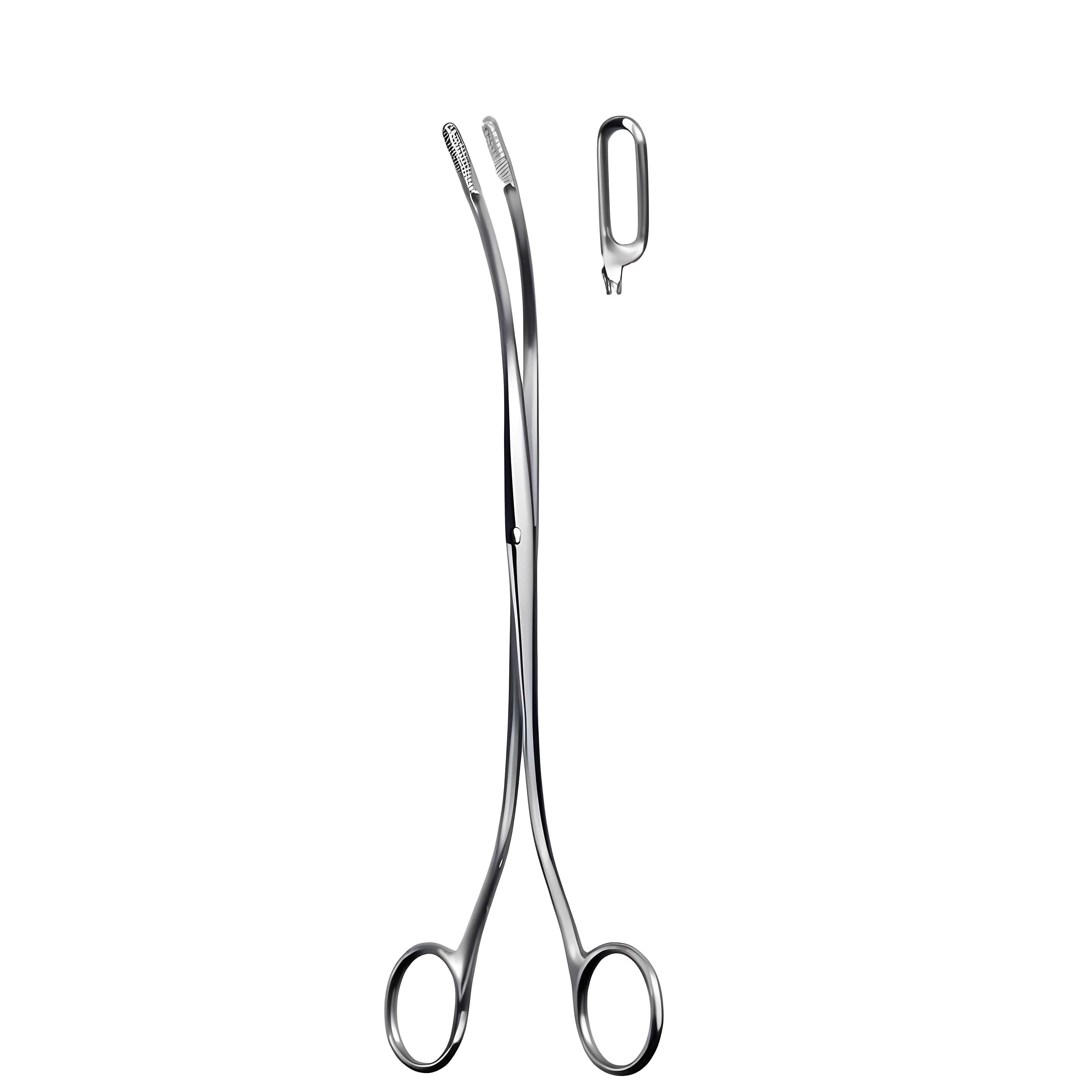 Desjardins Gall Stone Fcps Fig.3, 23cm