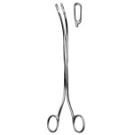 Desjardins Gall Stone Fcps Fig.4, 23cm