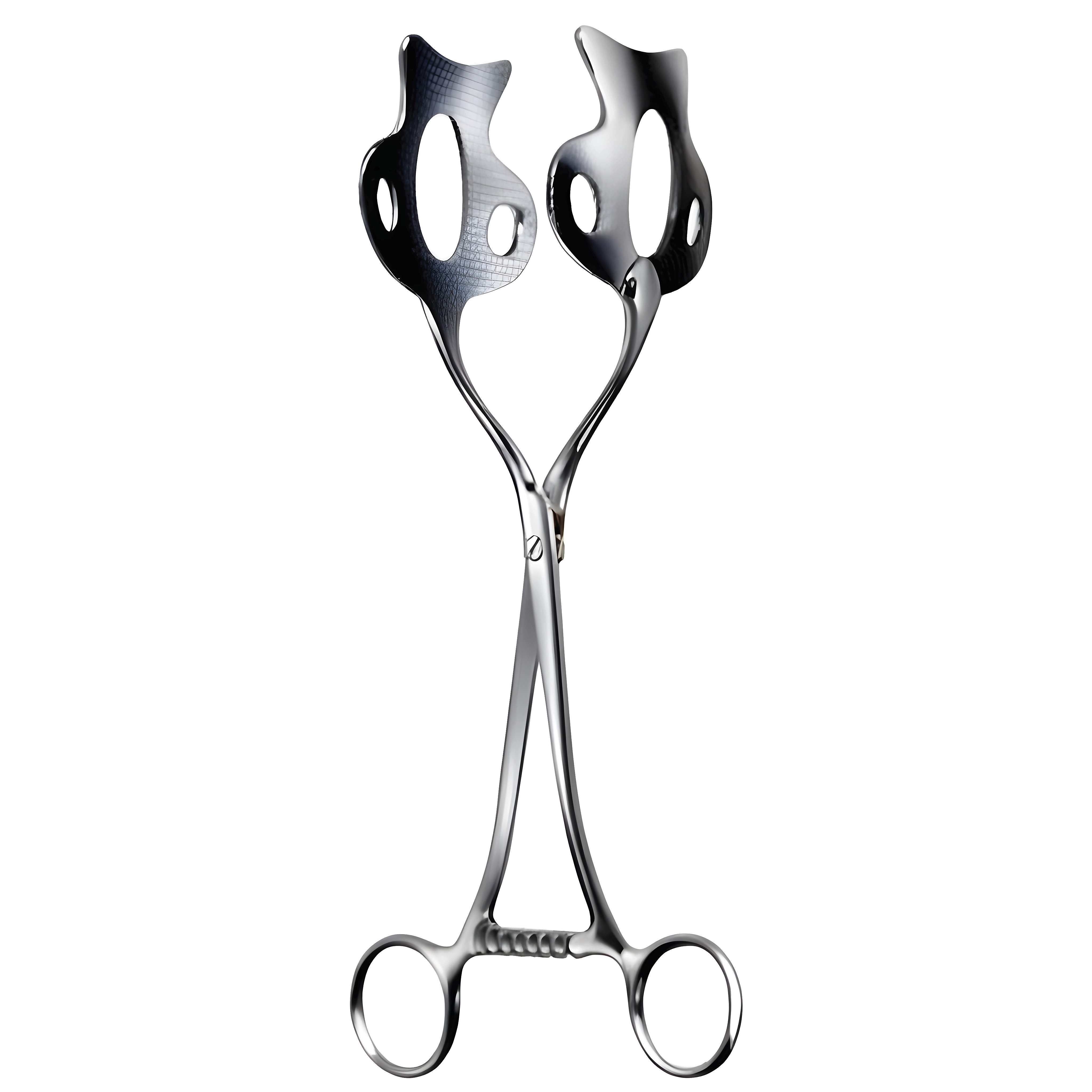 Kocher Kidney Fcps 26.5cm