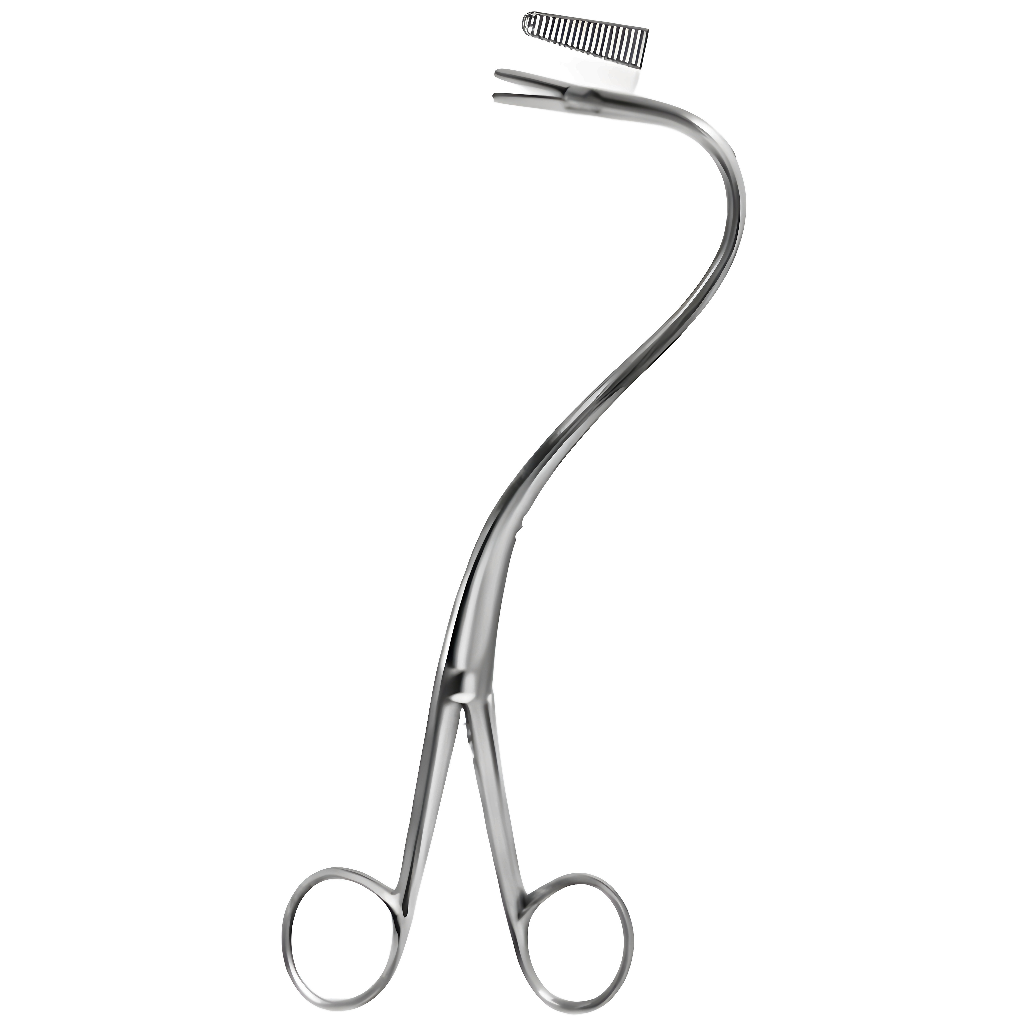 Elsasser Nephrostomy Fcps short cvd 20cm