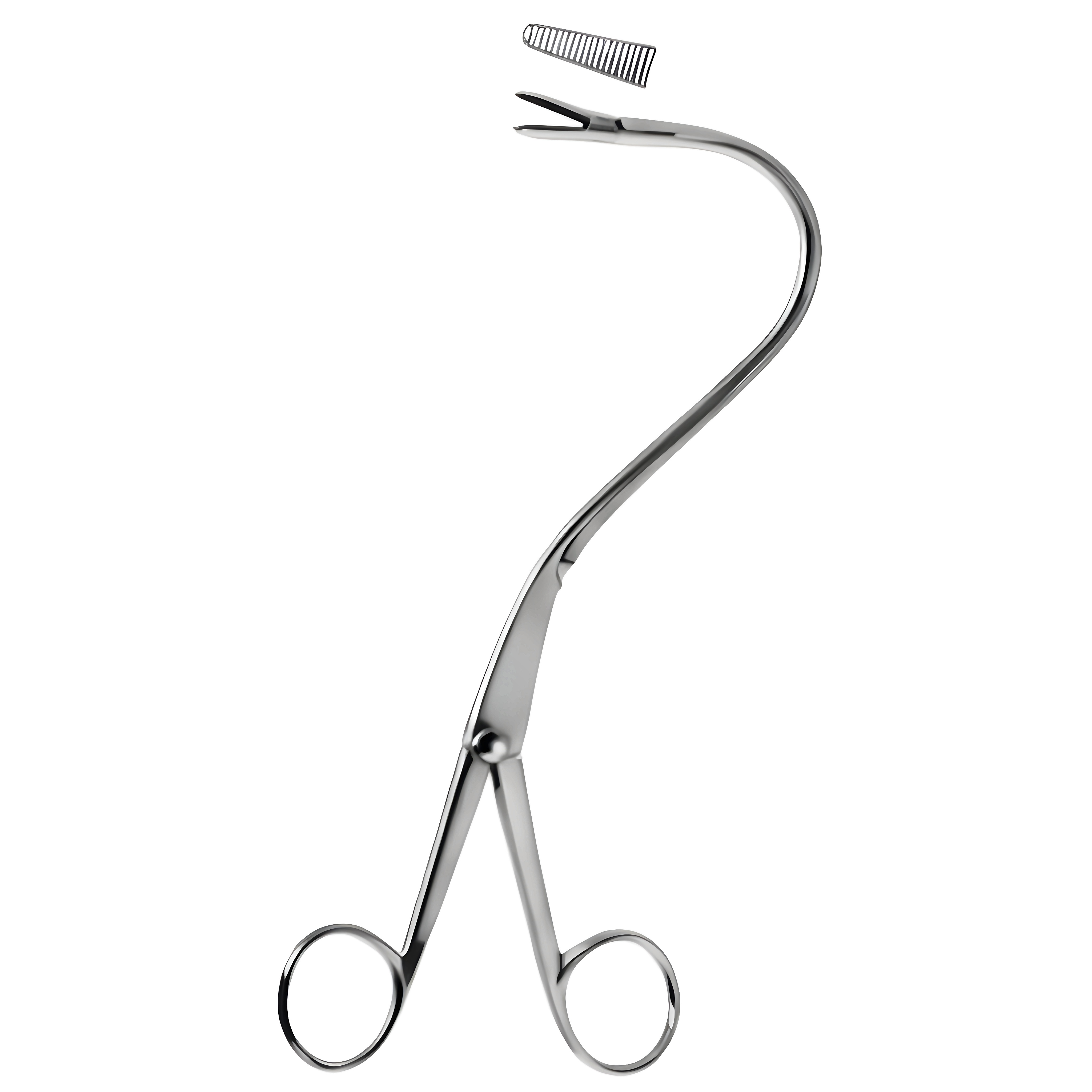 Elsasser Nephrostomy Fcps deep cvd 20cm