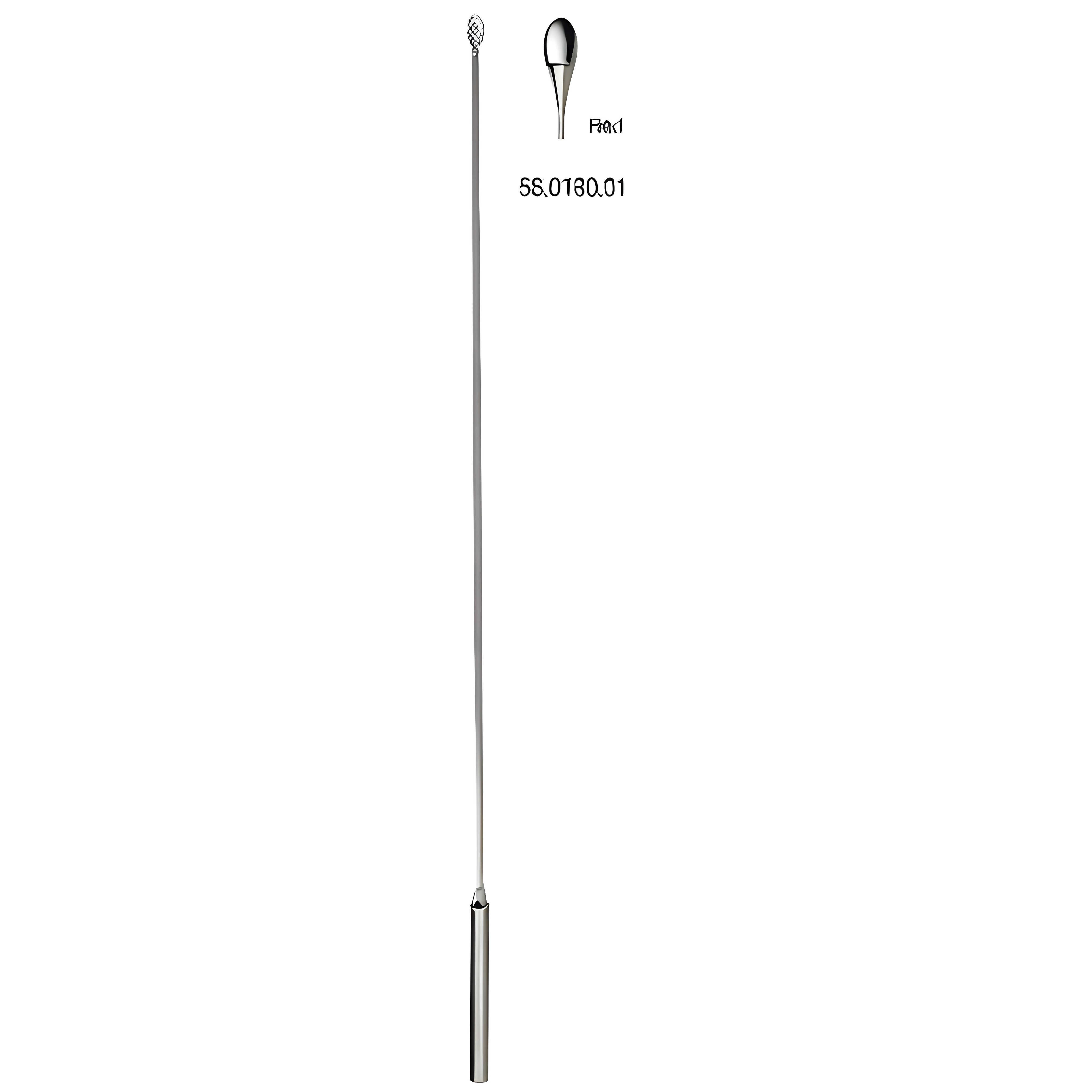Desjardin Gall Stone Probe Fig.1, 28cm
