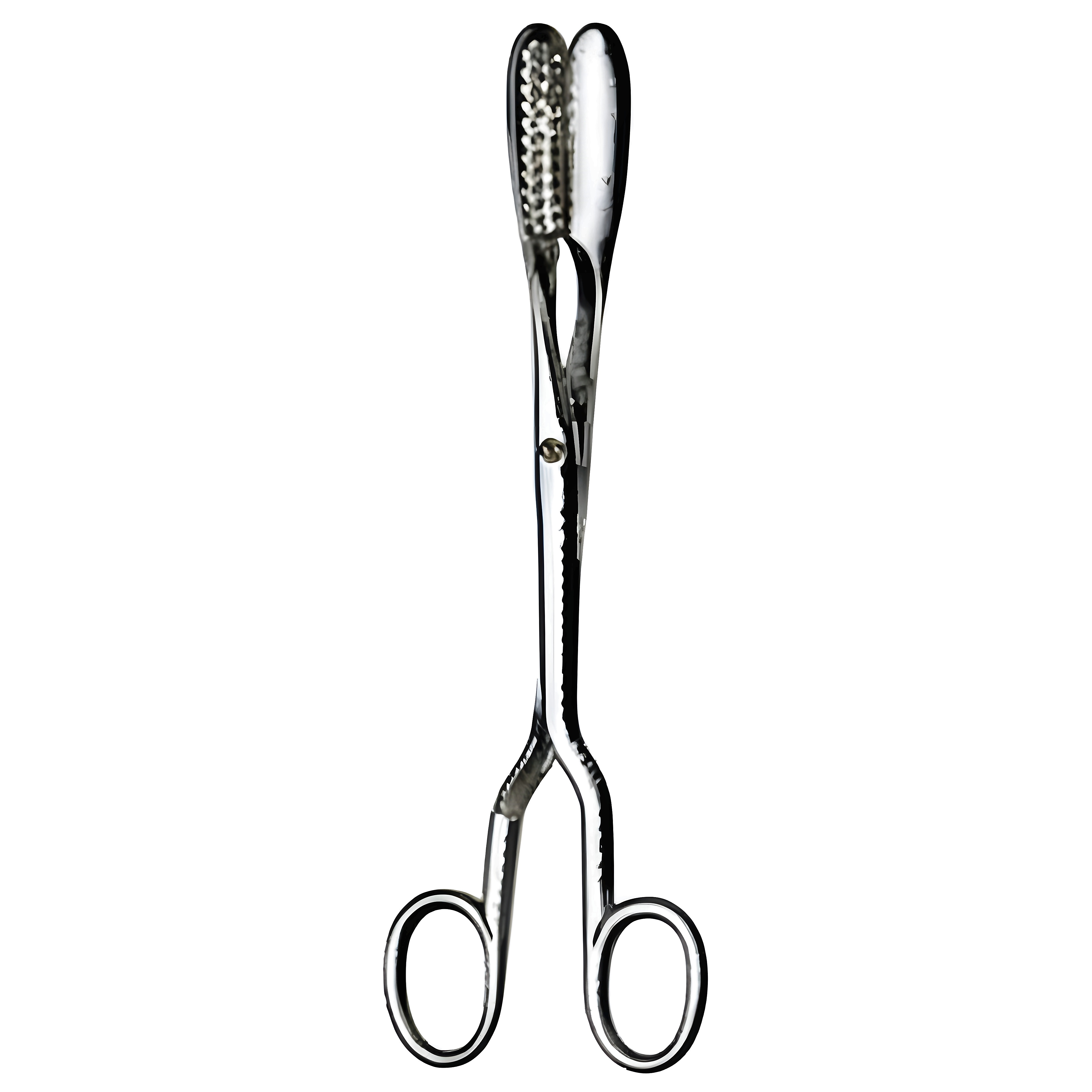 Lewkowitz Lithotomy Fcps str 26cm