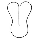 Circumcision Shield 10cm