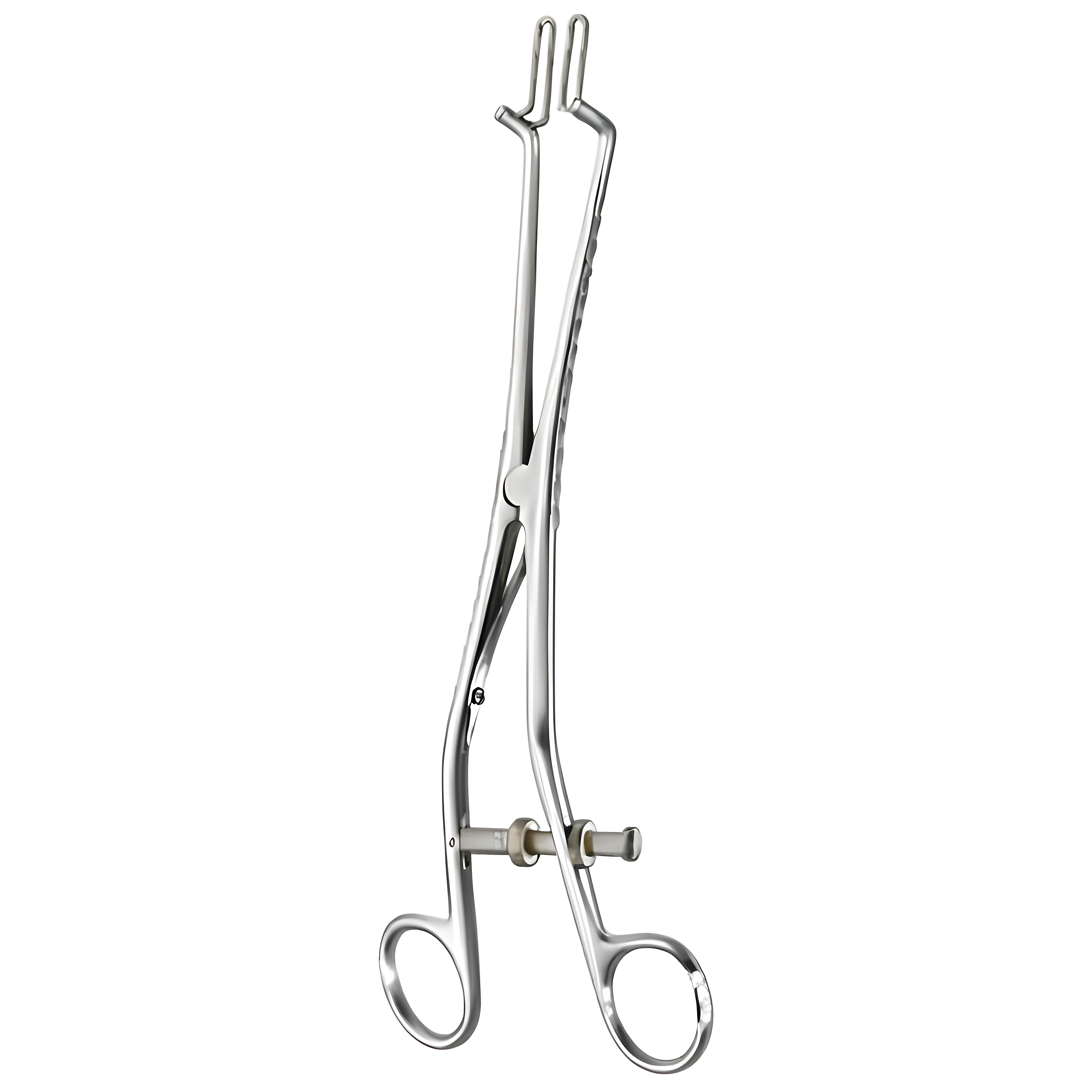 Kogan Speculum w/scale ratchet 2/4mm 24cm